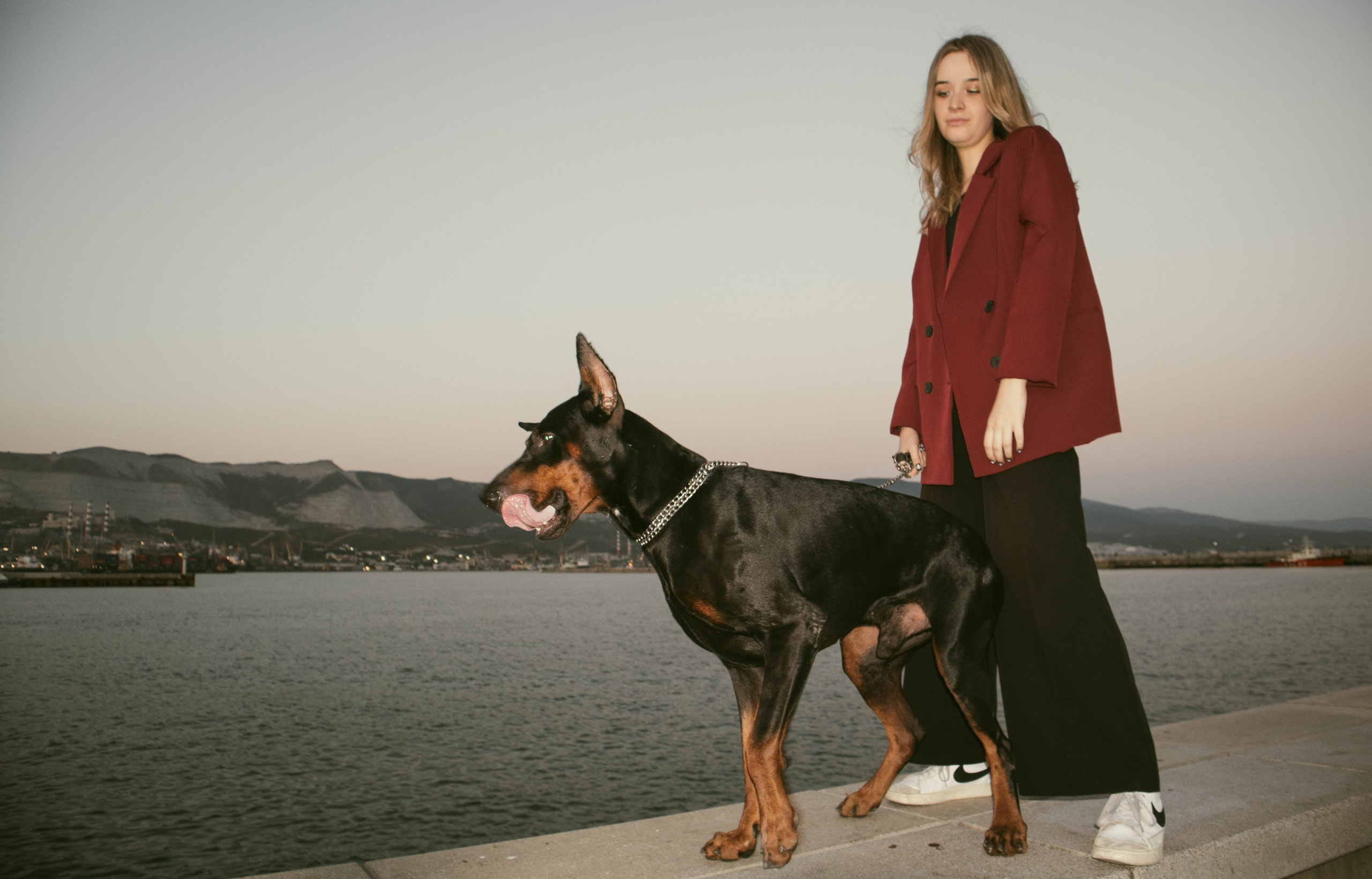 «Жизнь в ритме шага: пара с доберманом». Уличный фотограф Города N