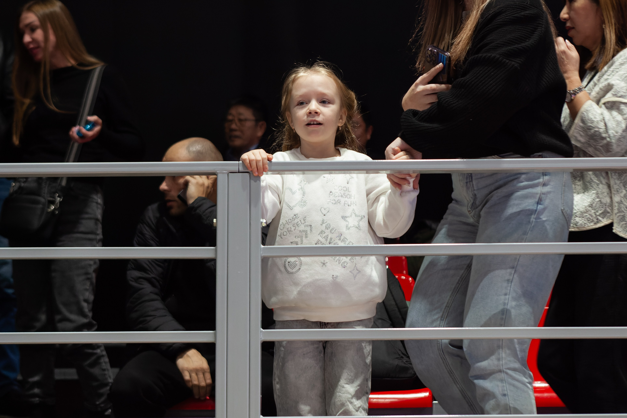 Дальневосточный фестиваль восточных единоборств. Кутузов Евгений Фотограф в Южно-Сахалинске