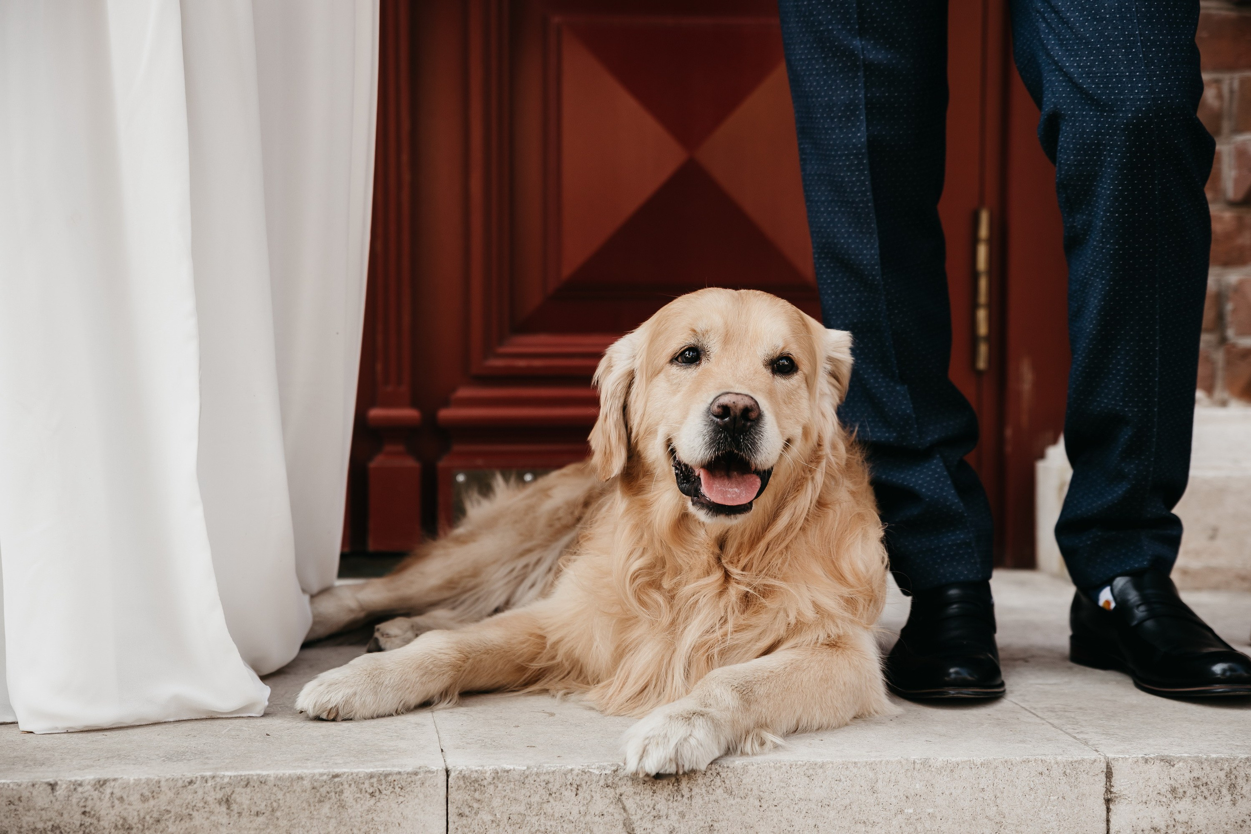 Роман и Валерия. Семейный фотограф в Самаре Елена Ефимова