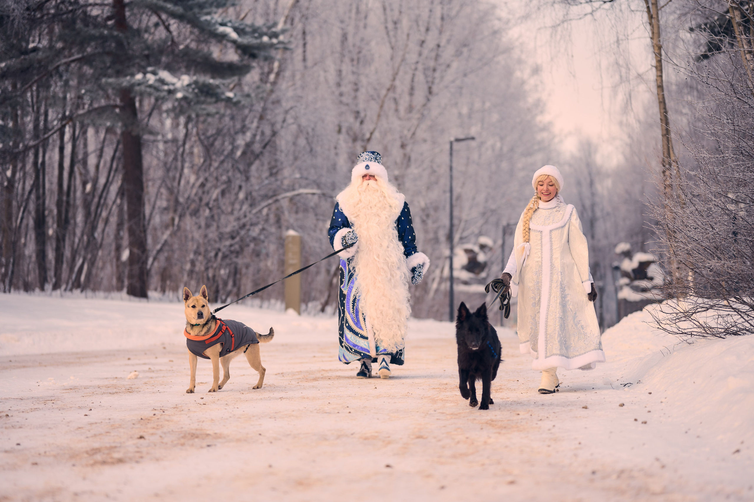 Промо приюта для собак. Никита Хохловский фото и видео продакшн