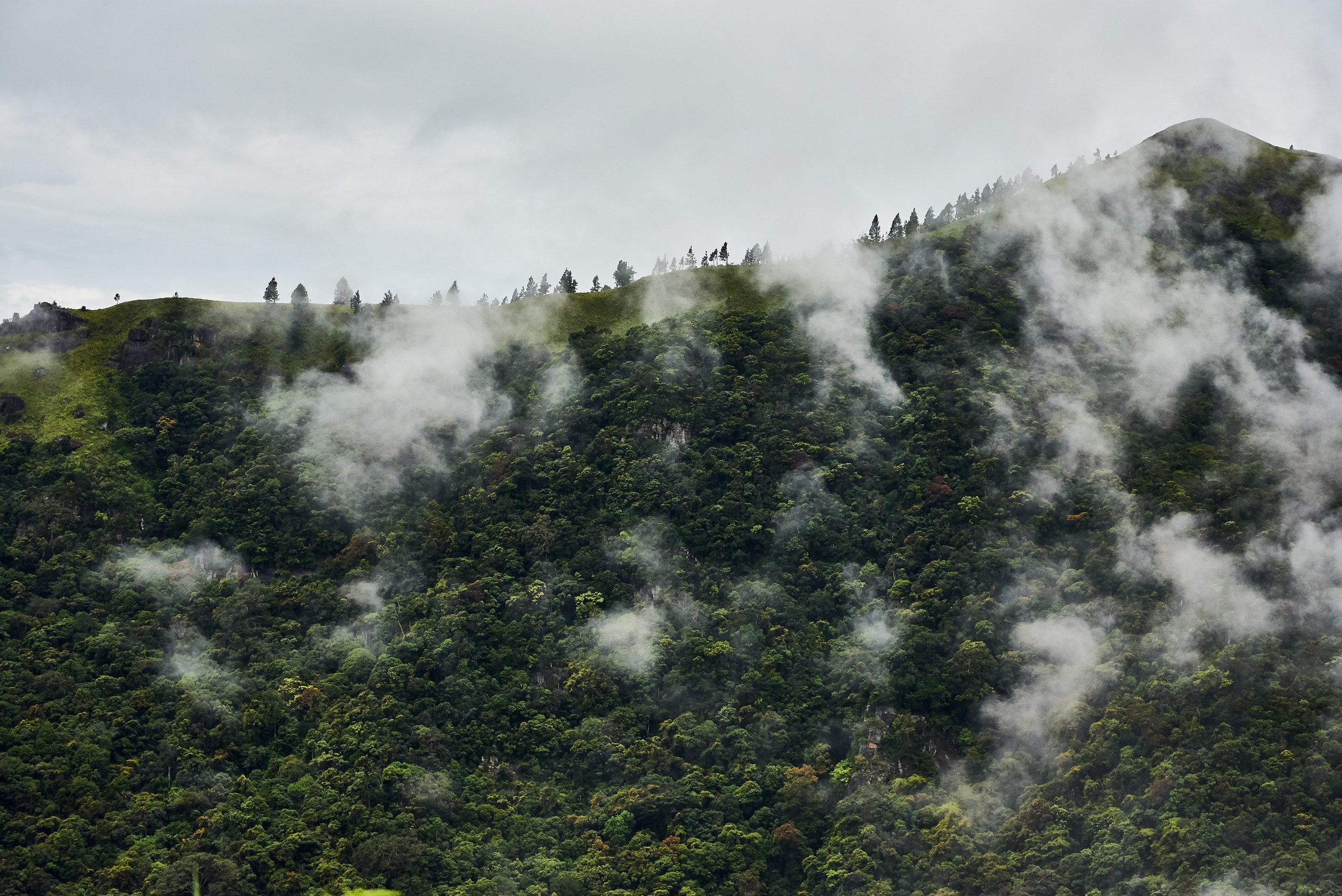 Moto Trip 23-05-19. Никита Хохловский фото и видео продакшн