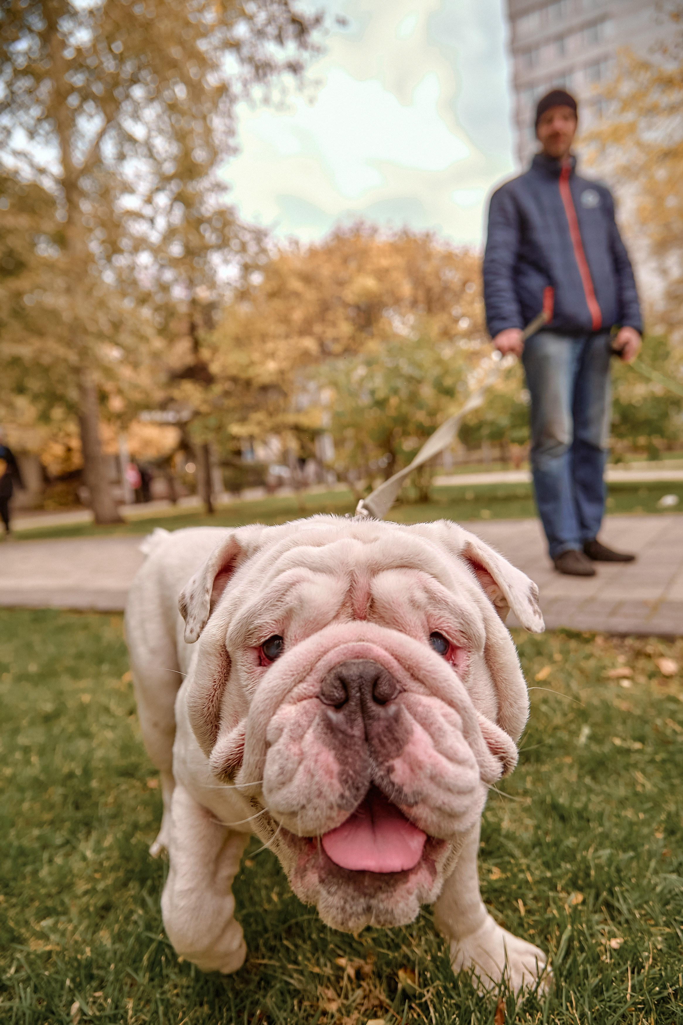 Шаолинь и Школа своего дела — Фестиваль «После уроков». Фотограф Яковлев Роман — Красноярск
