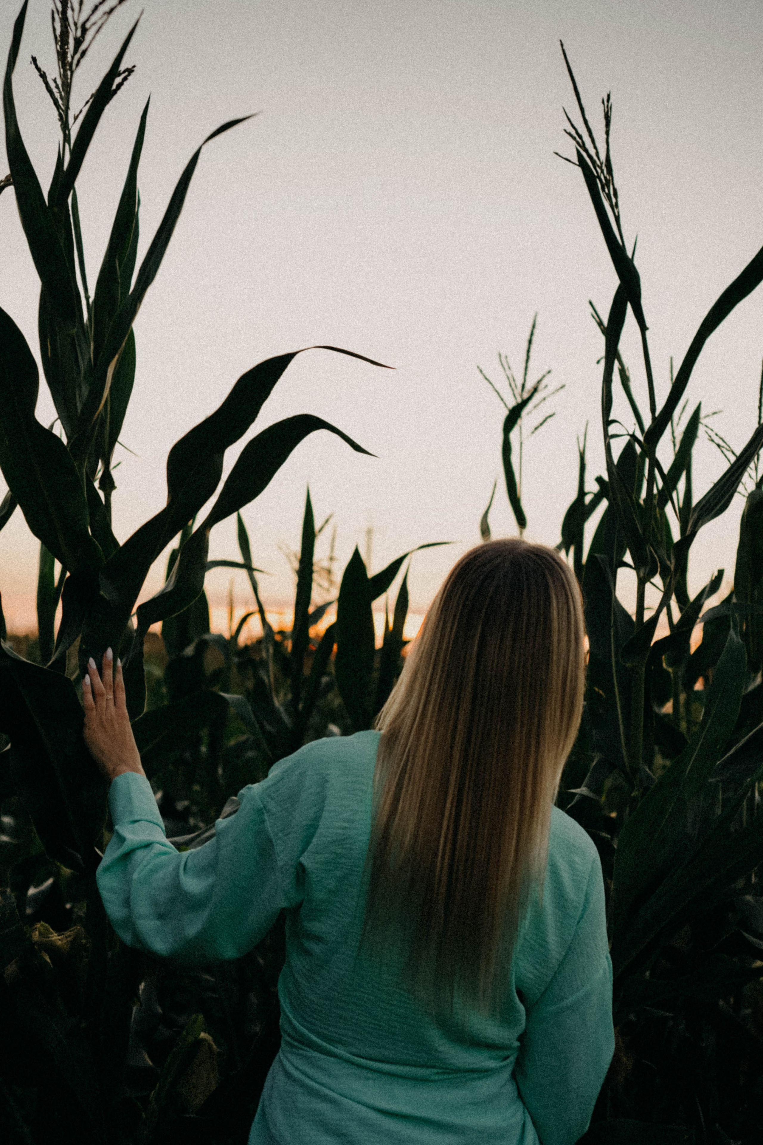 Летний вечер. Профессиональный фотограф, Санкт-Петербург — Виктория Богомолова