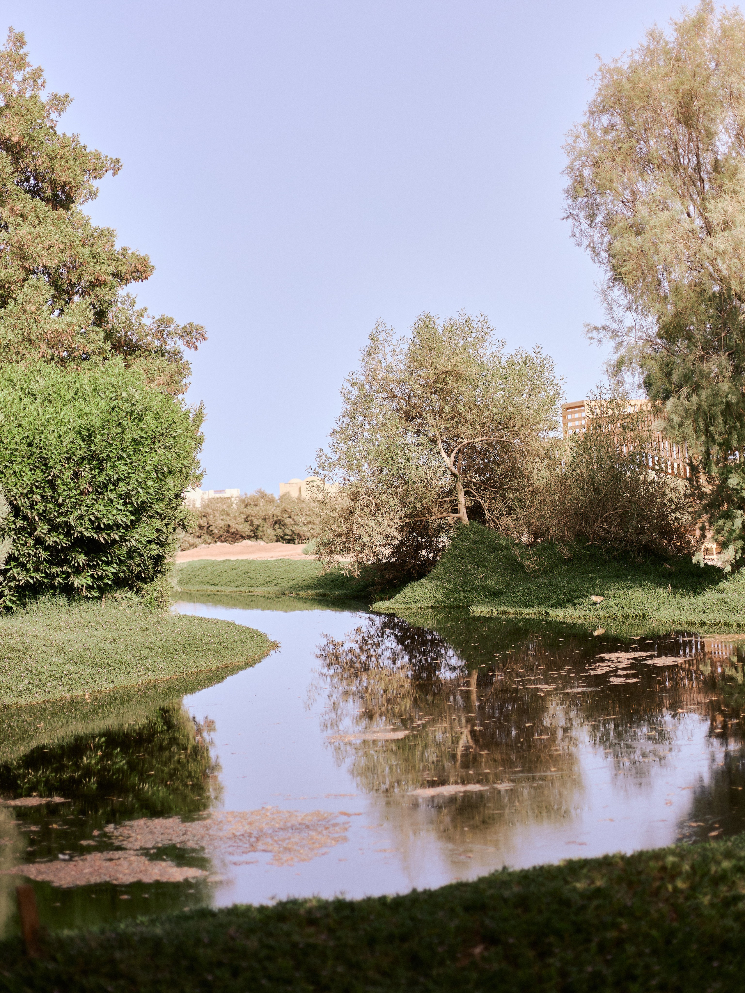 Другое 2. Jorgis Talè — photographer, kind person, teacher of arts and other mag