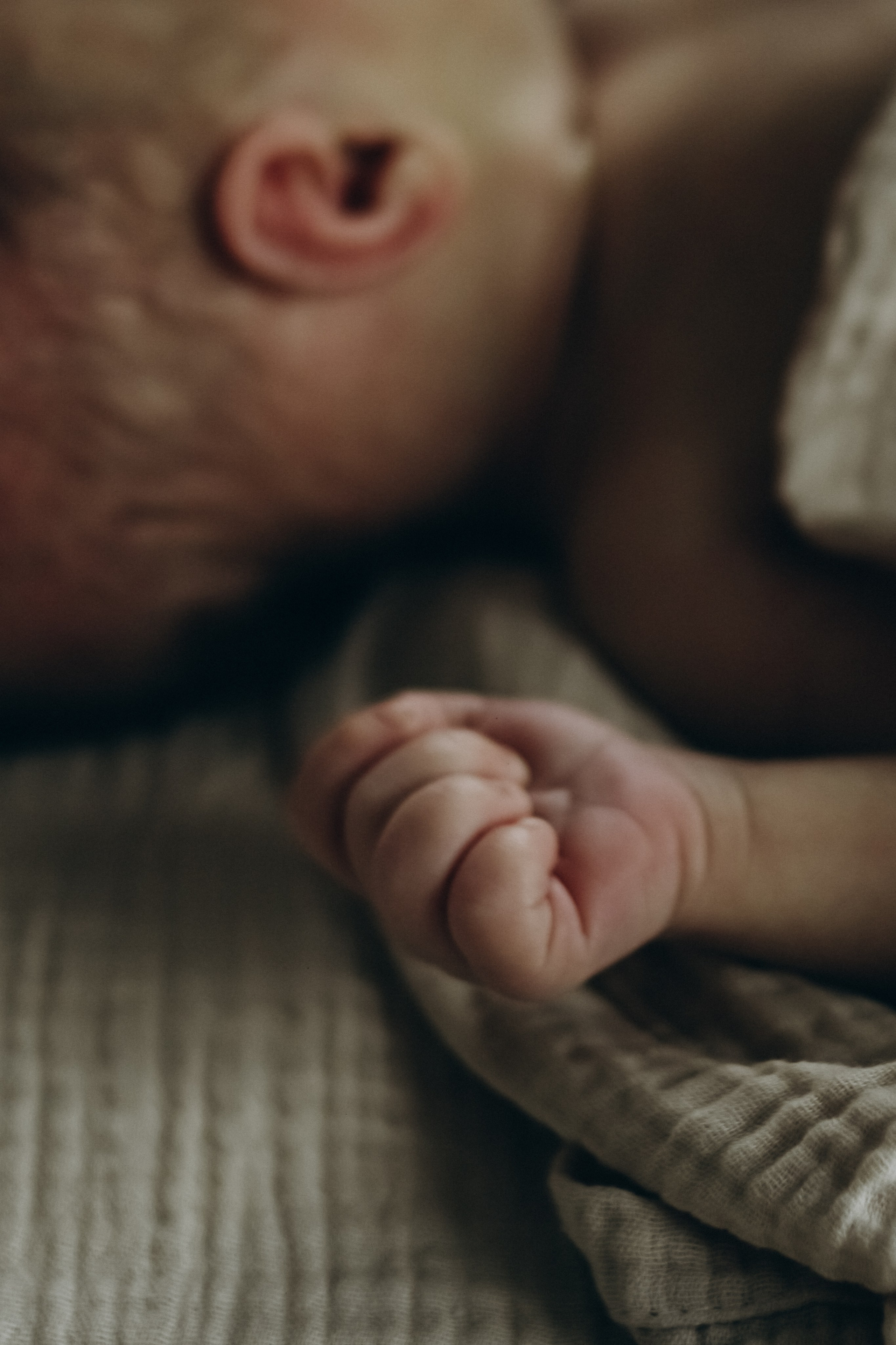 Домашняя 23.08.2025. Свой фотограф Нижний Новгород