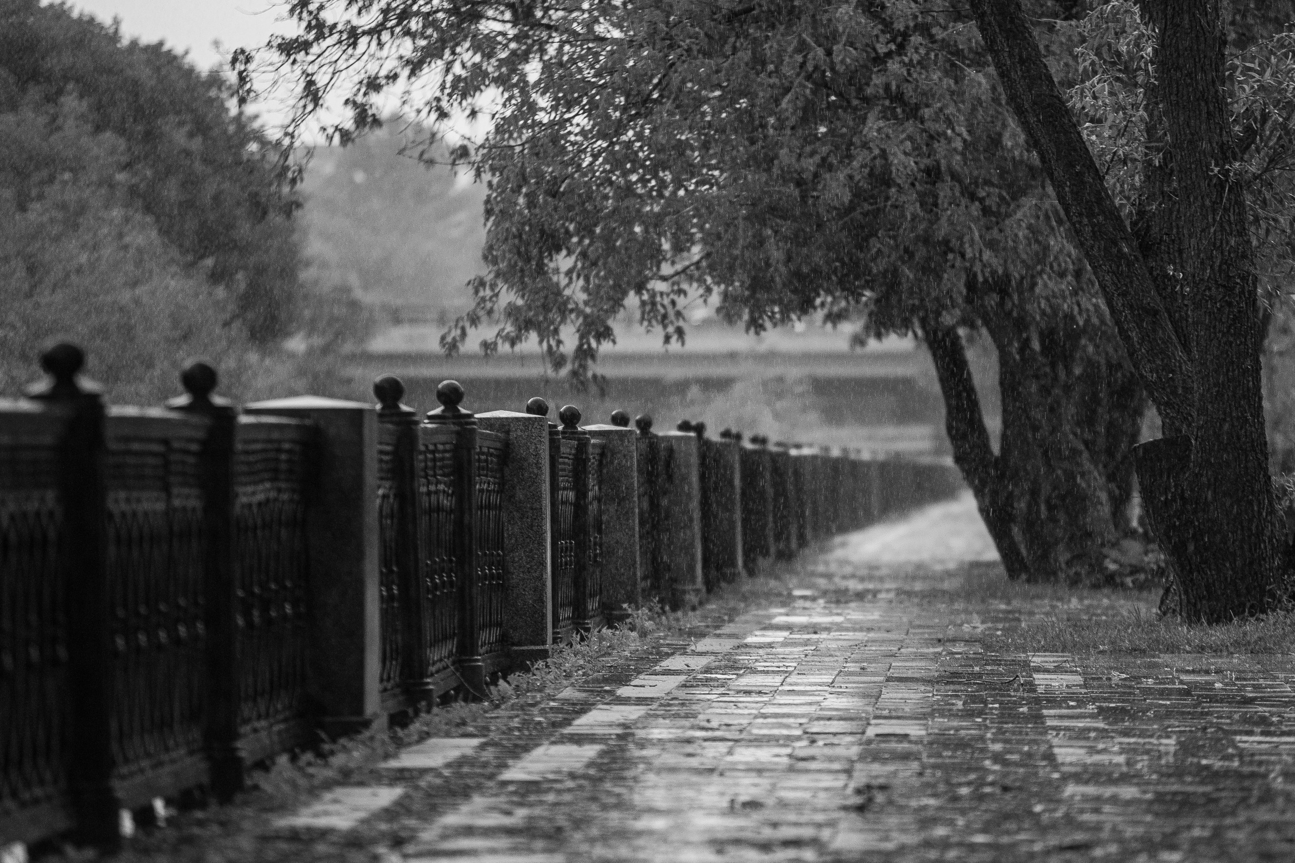 Городской пейзаж. Фотограф Владимир Охрименко