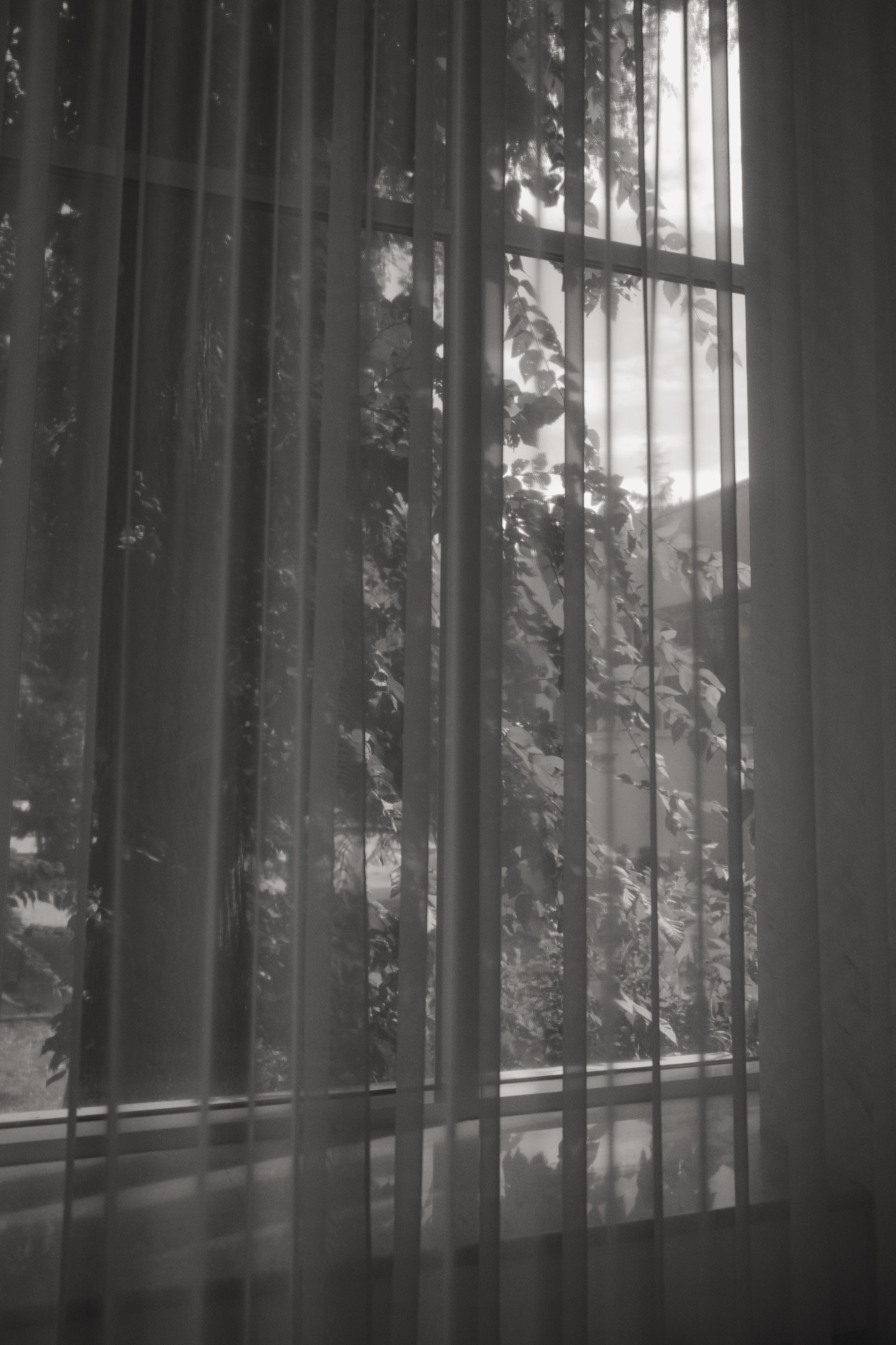 Свадебный фотограф Самара. Отель Lotte. Свадебный и семейный фотограф в Самаре и Тольятти | Елена Топанцева