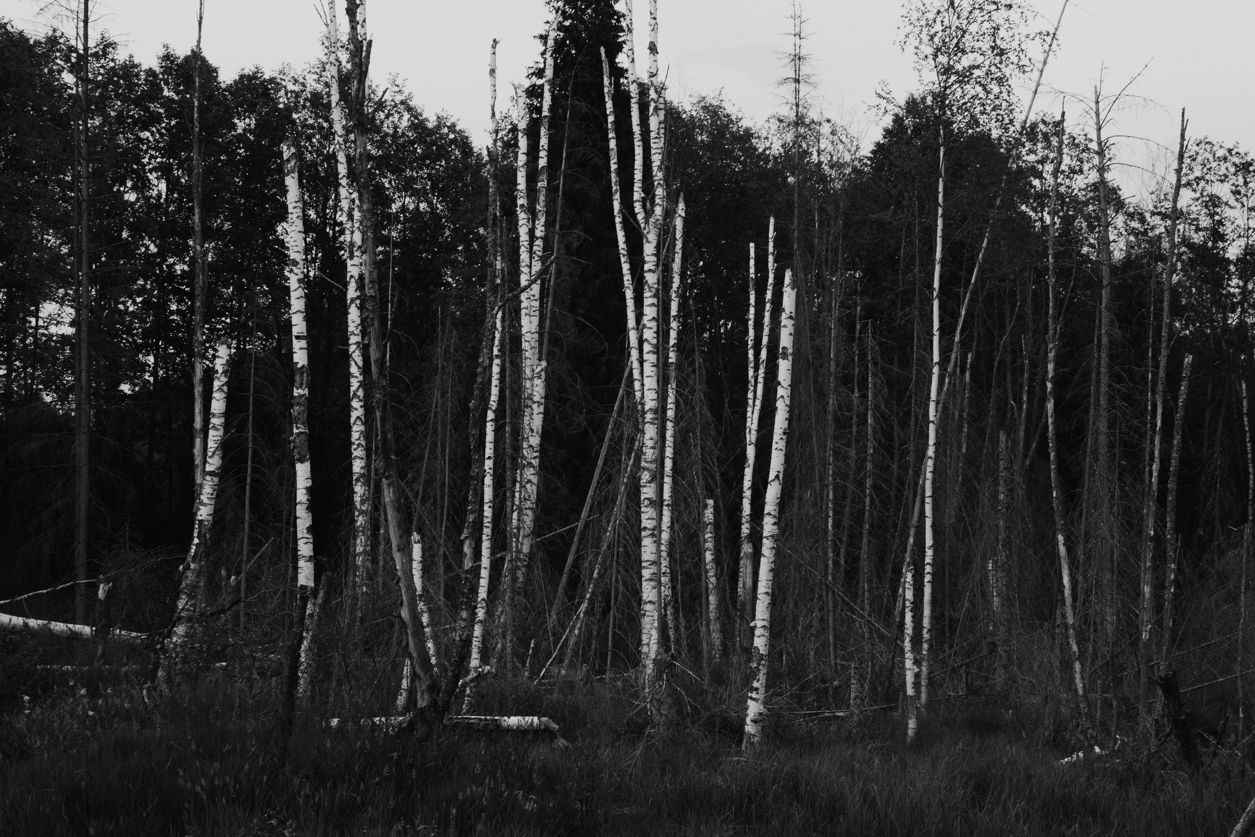 Пейзаж. Фотограф Александр Тихонов
