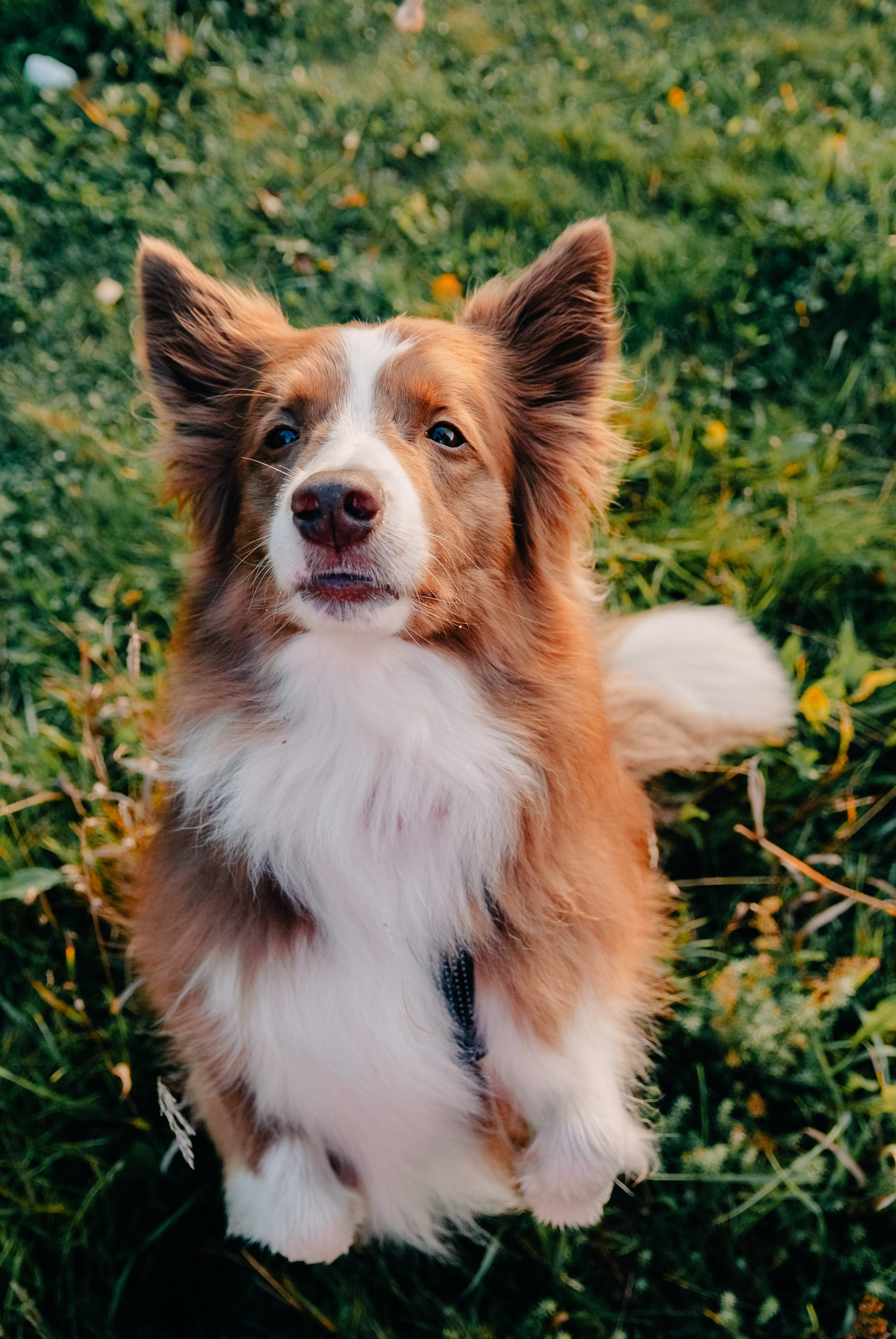 Зоопарк в моём багаже. Кошенкова Мария: портретный и репортажный фотограф. Санкт-Петербург