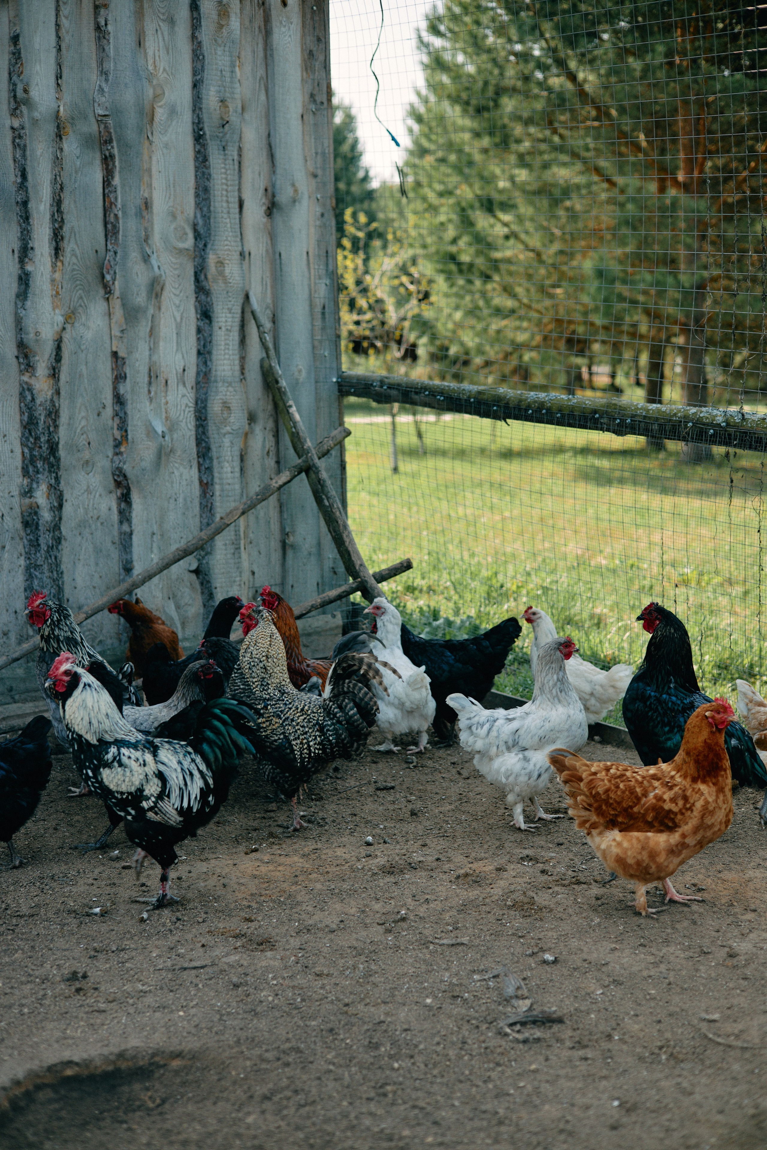 Бутик-отель Поле летом. Профессиональный Фотограф во Владимире, в Москве и в Суздале — Полина Романычева