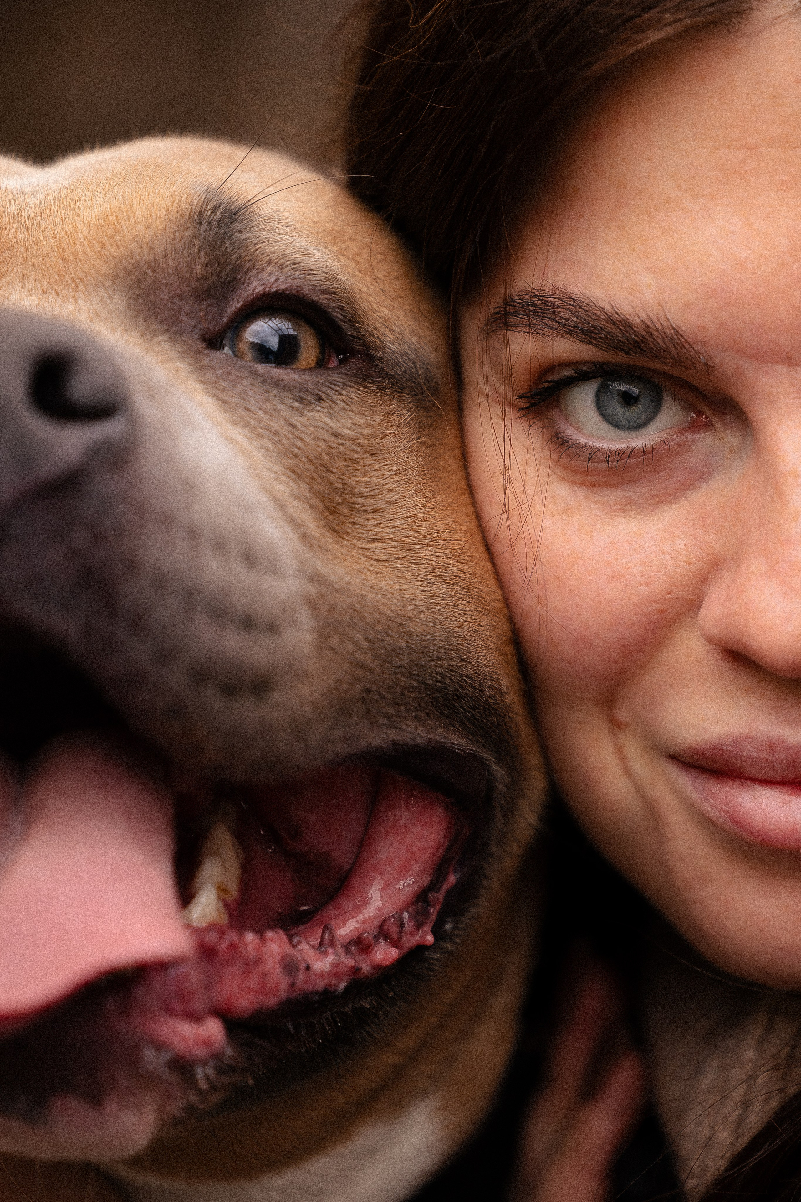 Алена и Тор. Фотограф и видеограф анималист Аганина Дарья