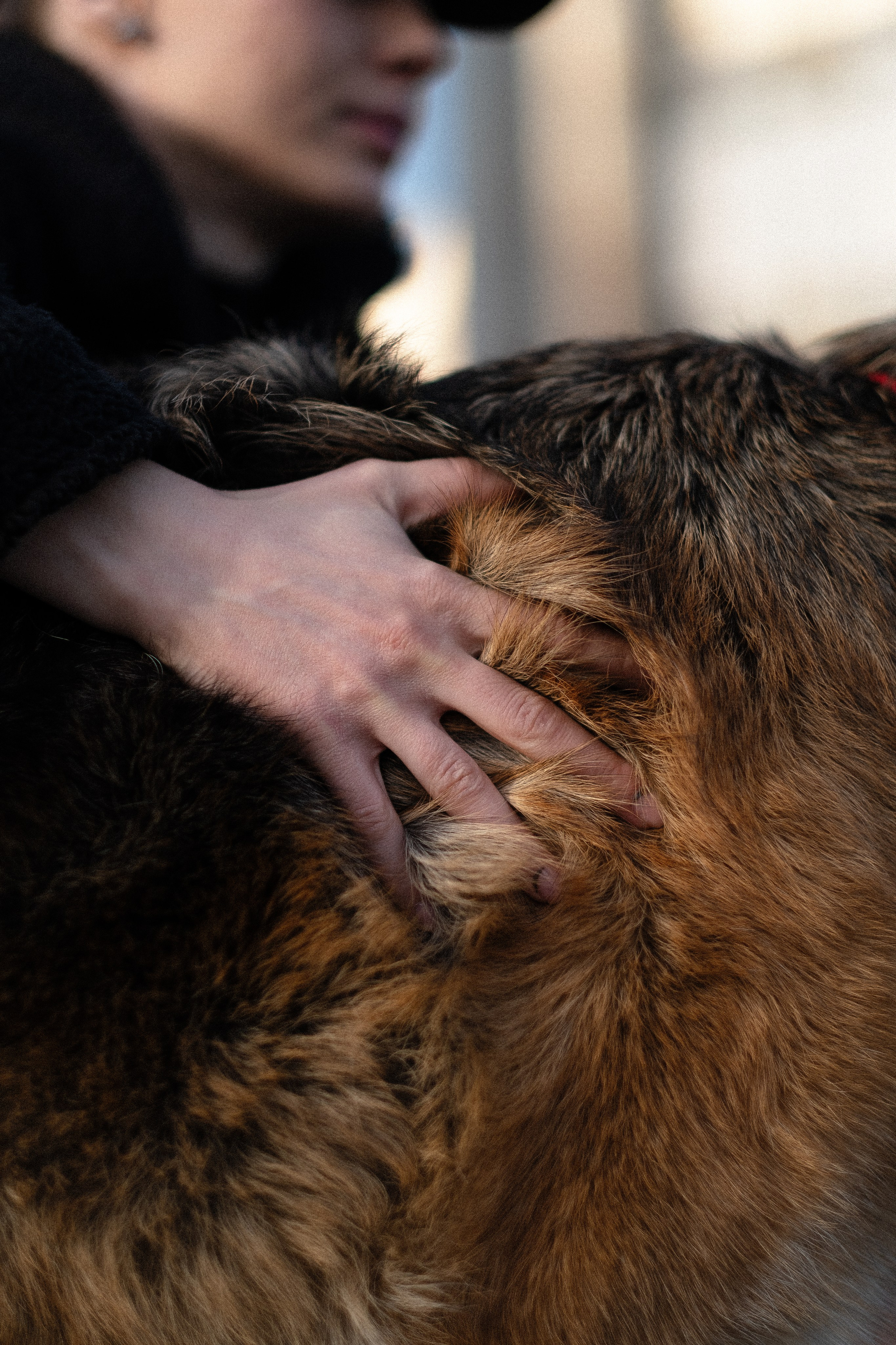 Фотограф и видеограф анималист Аганина Дарья