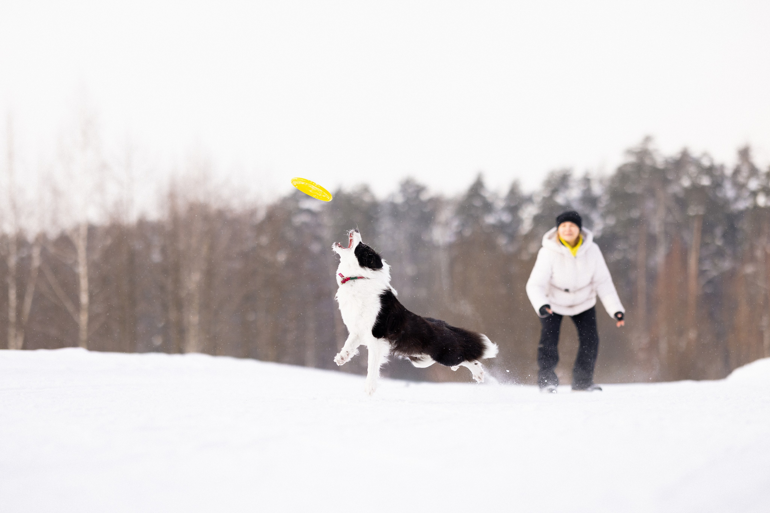 Лилия, Алексей и Ариана. Фотограф и видеограф анималист Аганина Дарья