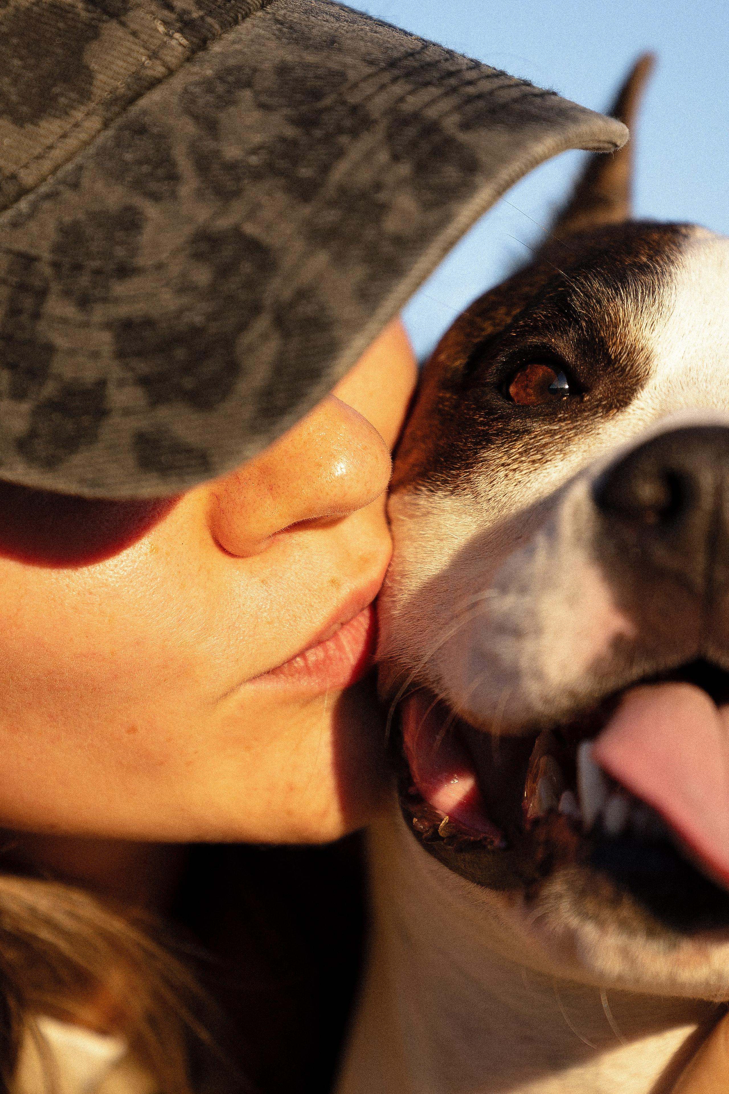 Женя, Афра и Молли. Фотограф и видеограф анималист Аганина Дарья