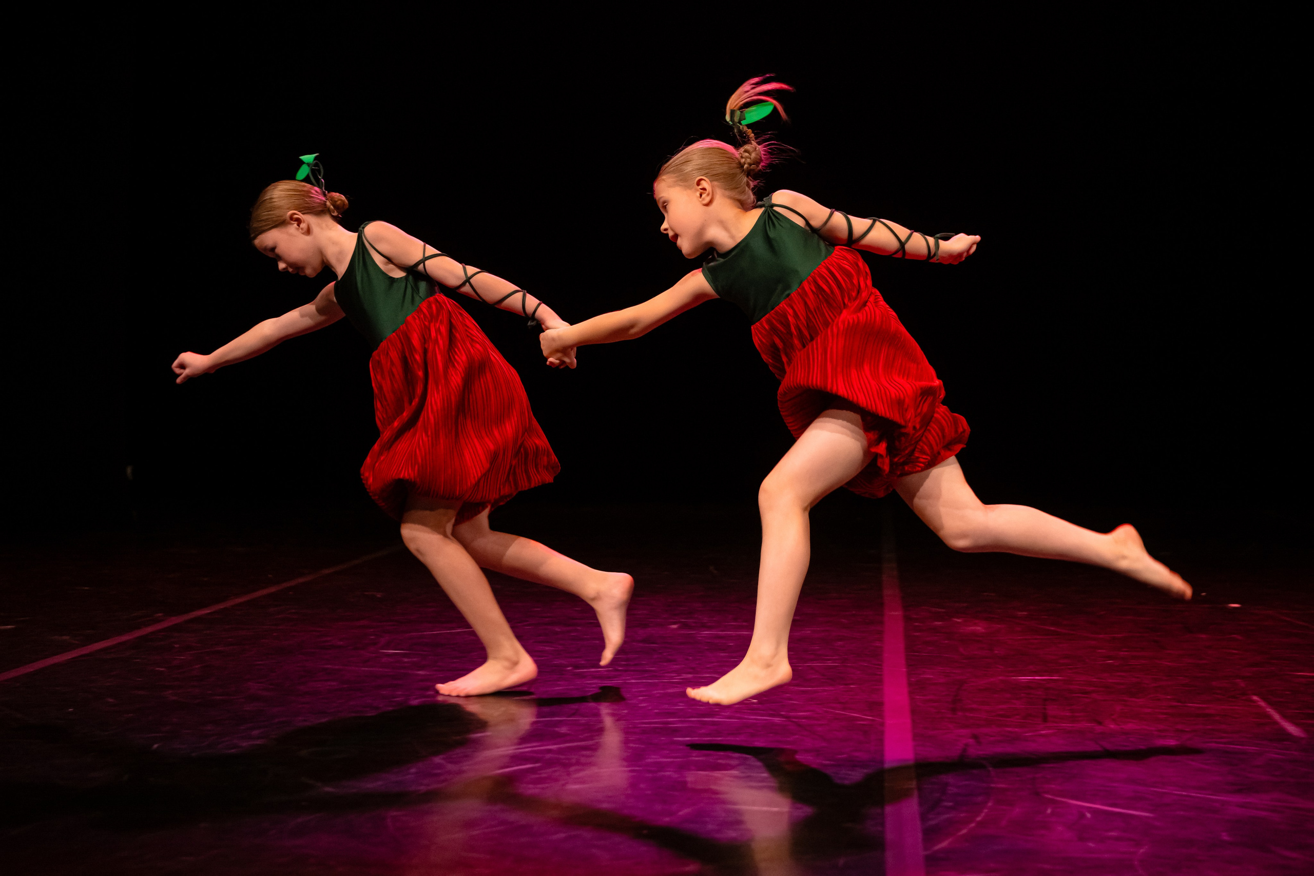 Зодиак. Семейный концерт. Репортажный фотограф в Санкт-Петербурге Алексеева Дарья