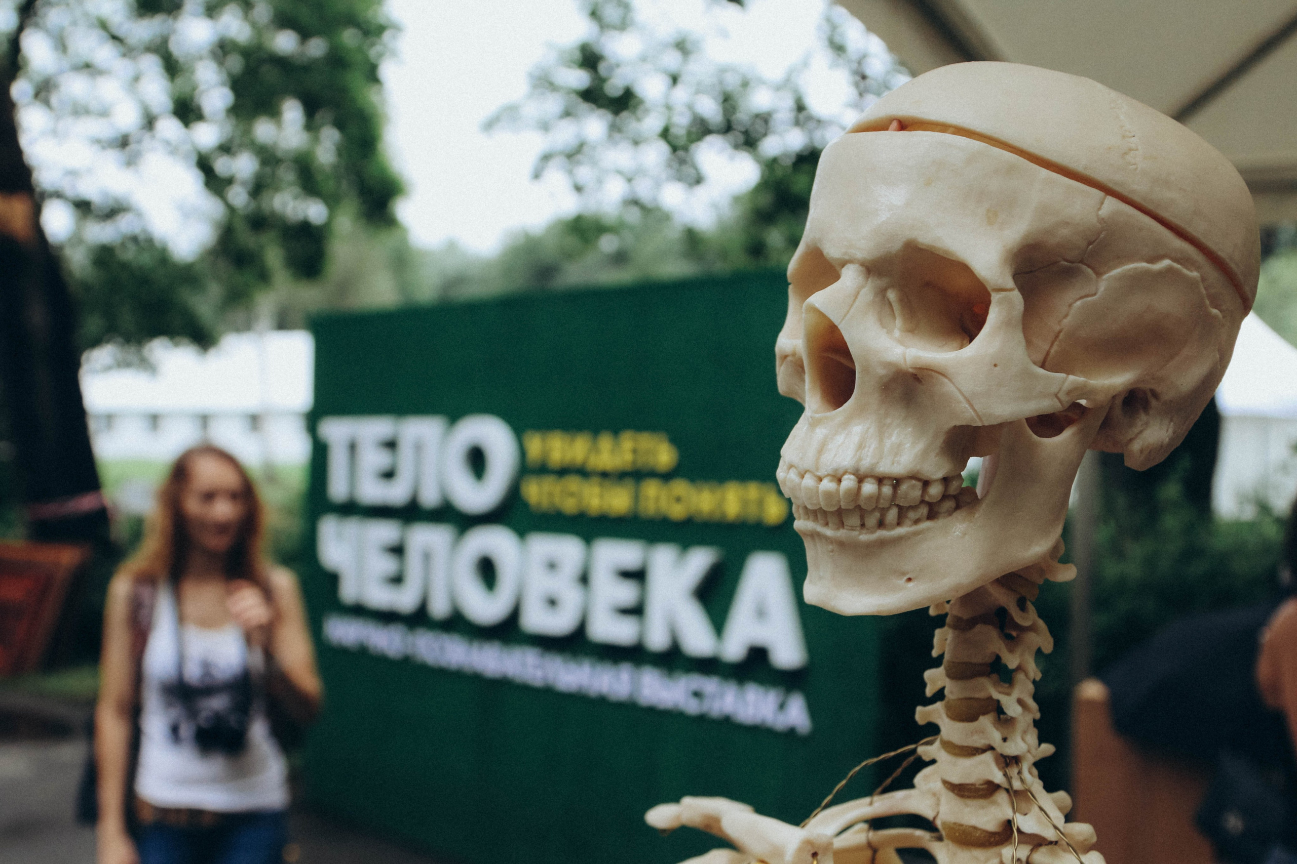 Фестиваль LifePicnik на Елагином острове. Репортажный фотограф во Всеволожске и Санкт-Петербурге Владимир Капустин