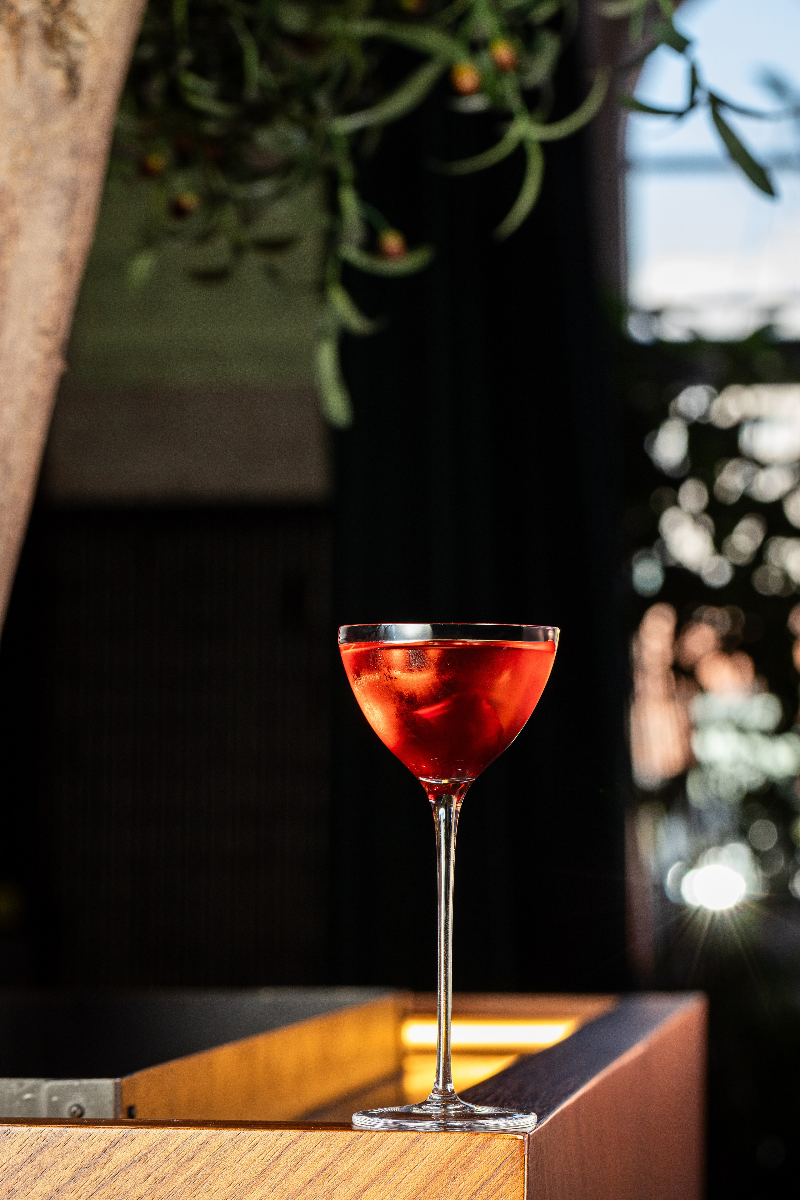 Lesnoy 25. Краснов Максим фуд-фотограф, предметный фотограф, Москва