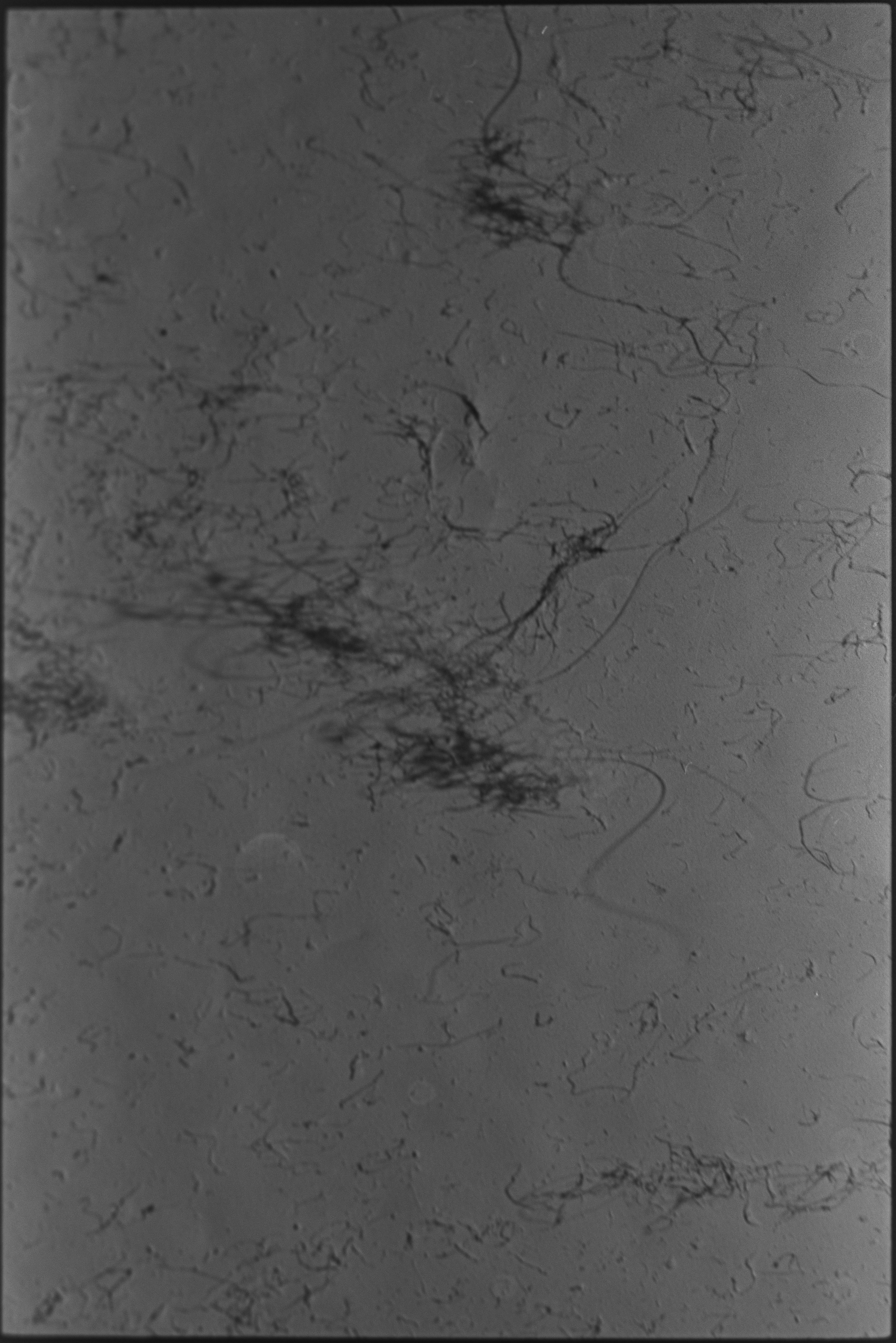 Traces. Veronika Verbitskaia | Contemporary Photographer | Dublin