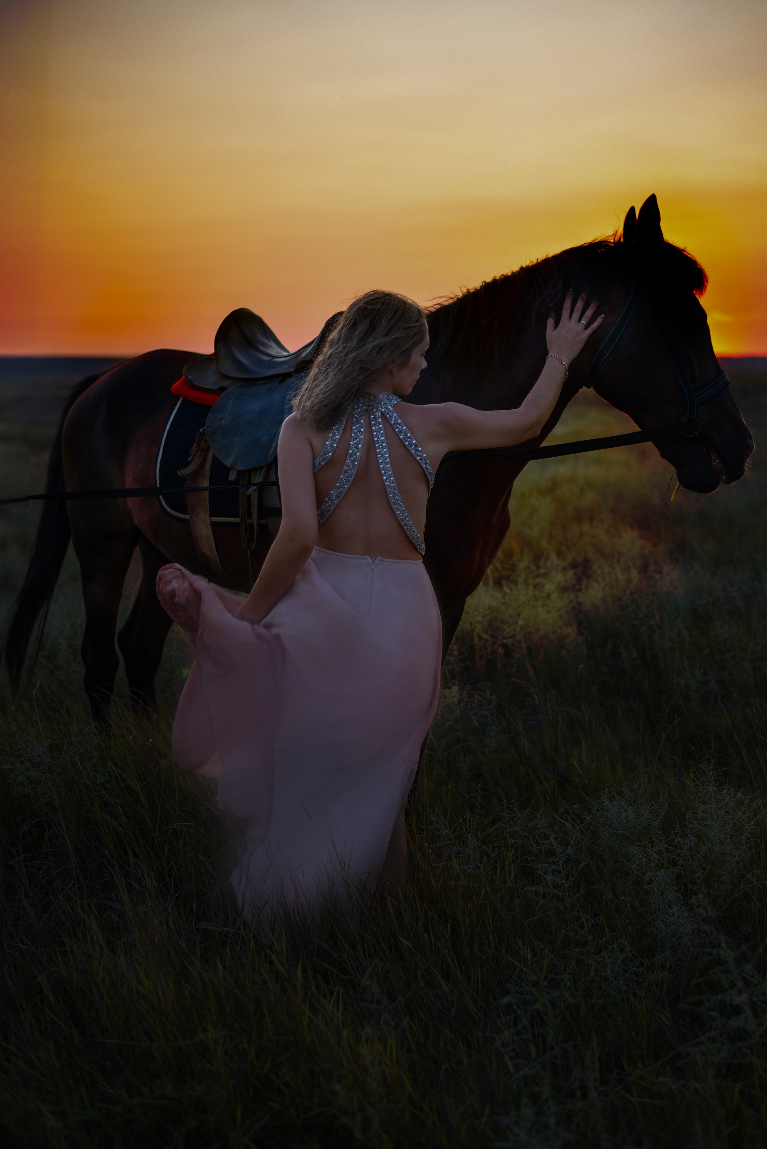 Леди и лошадь. Главная