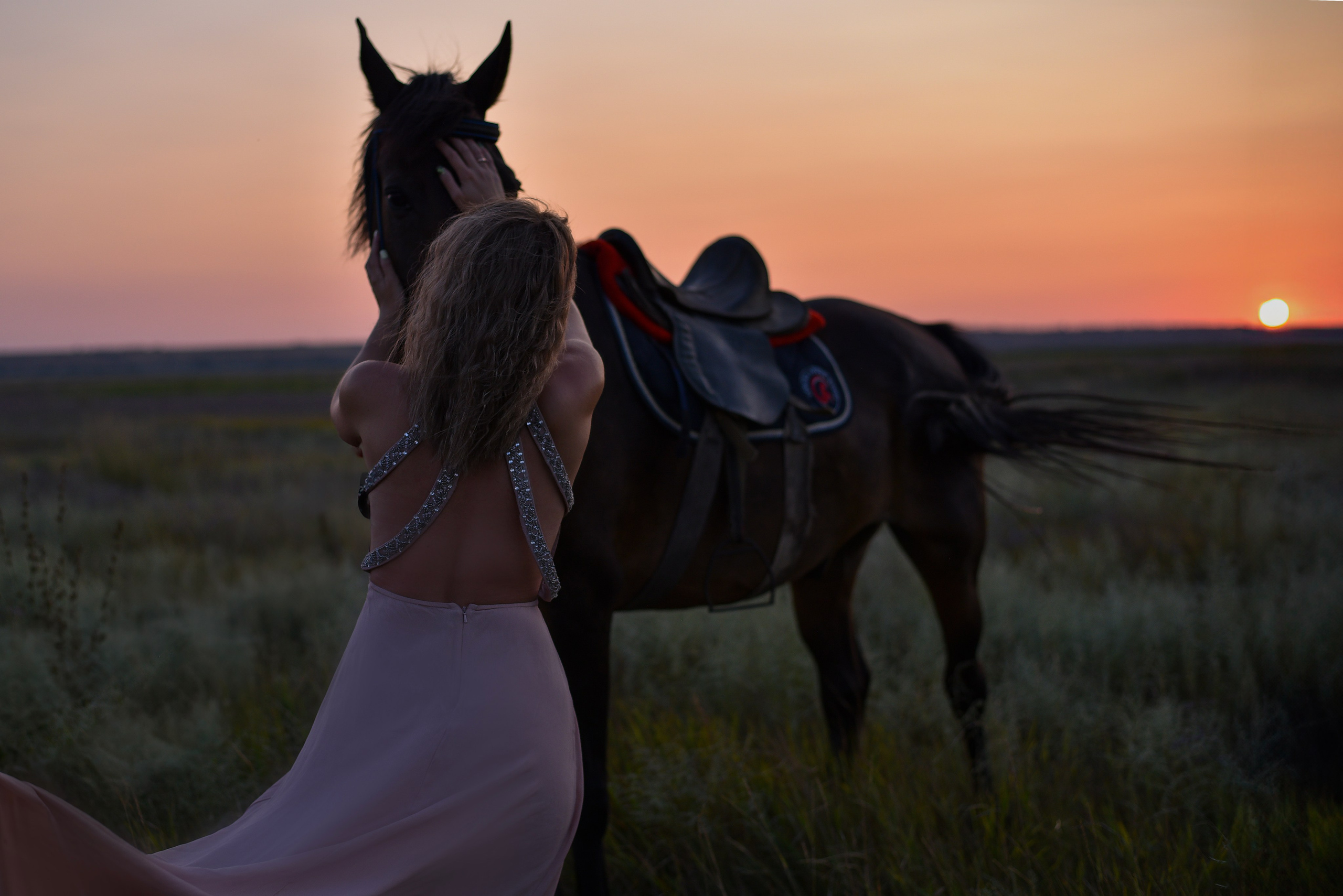 Леди и лошадь. Главная