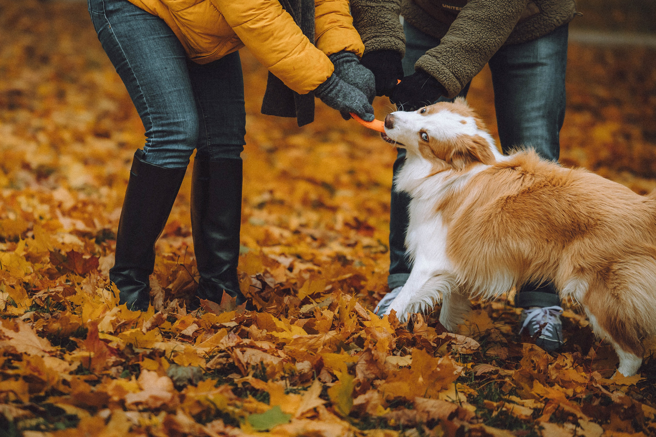 Алина, Витя и Асти