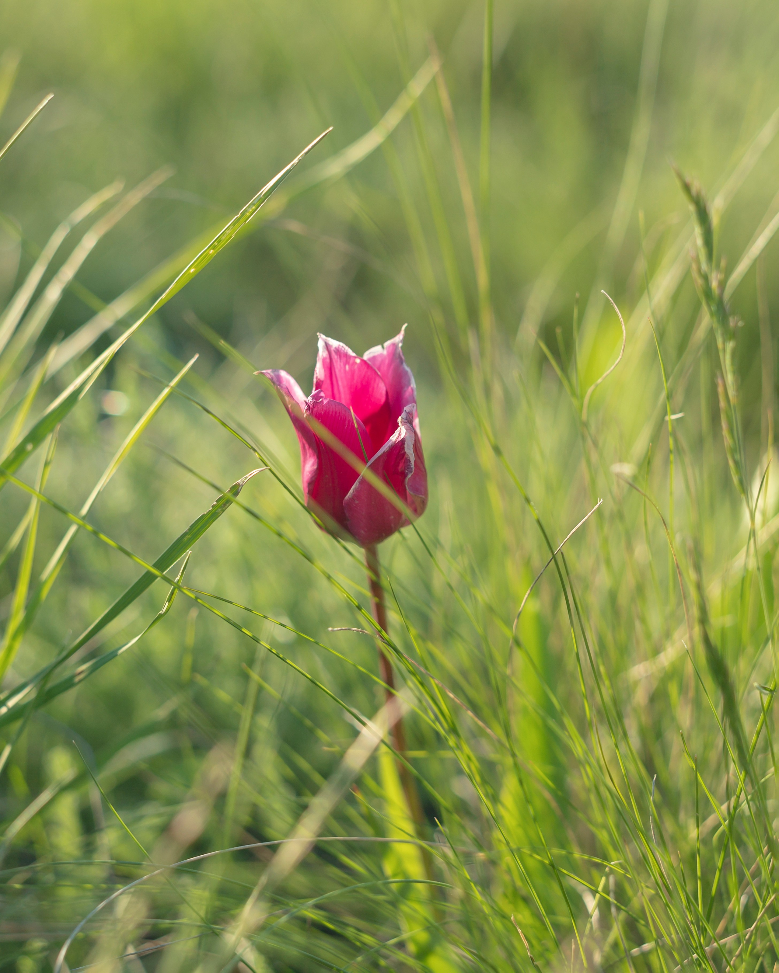 Оренбуржье. Портретный фотограф в Челябинске Катерина Руди