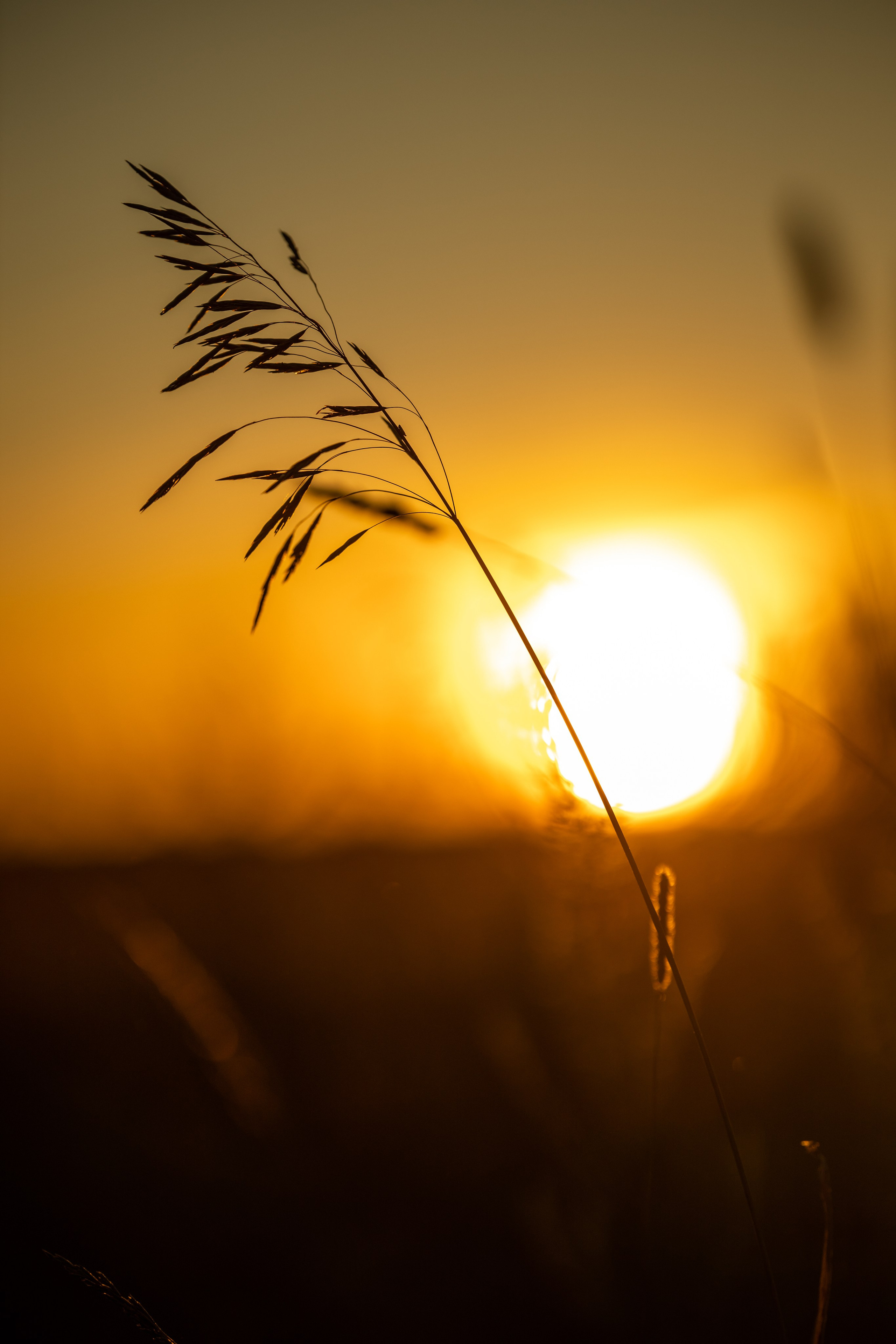 Природные пейзажи. Наталия Клевинскас портретный фотограф в Костроме
