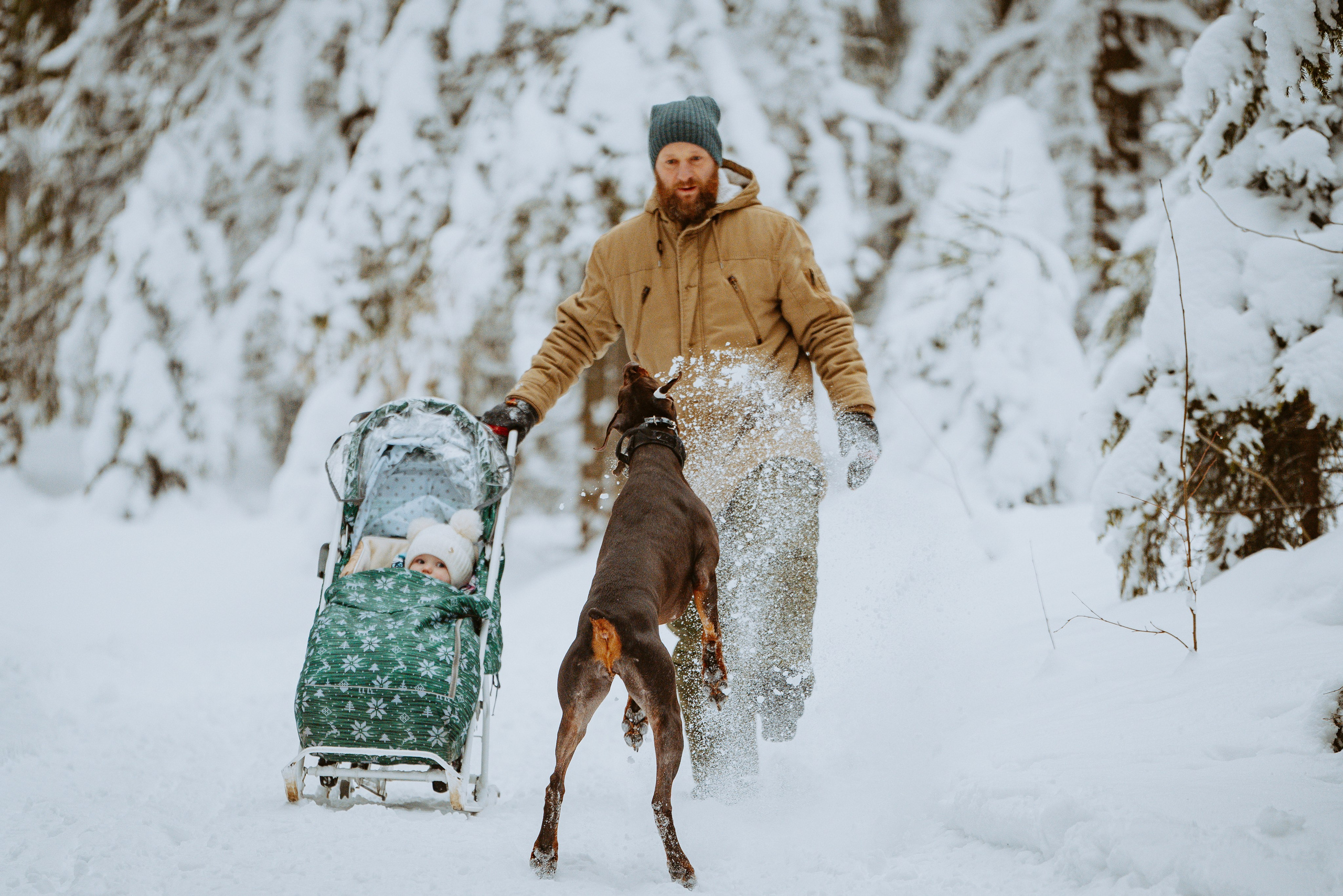 Дог трекинг. Фотограф анималист в Спб недорого Олеся Майорова