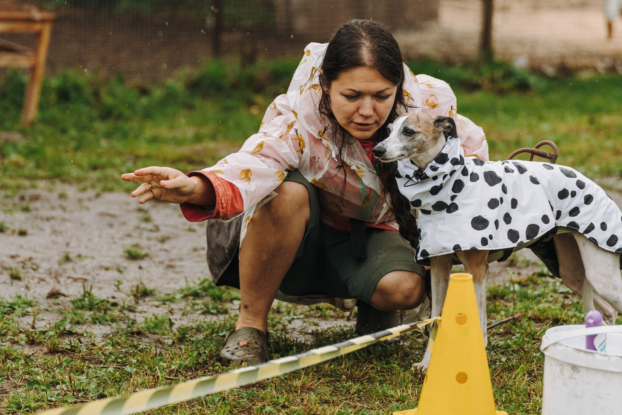 Соревнования по ноузворку в Новожилово. Фотограф анималист в Спб недорого Олеся Майорова