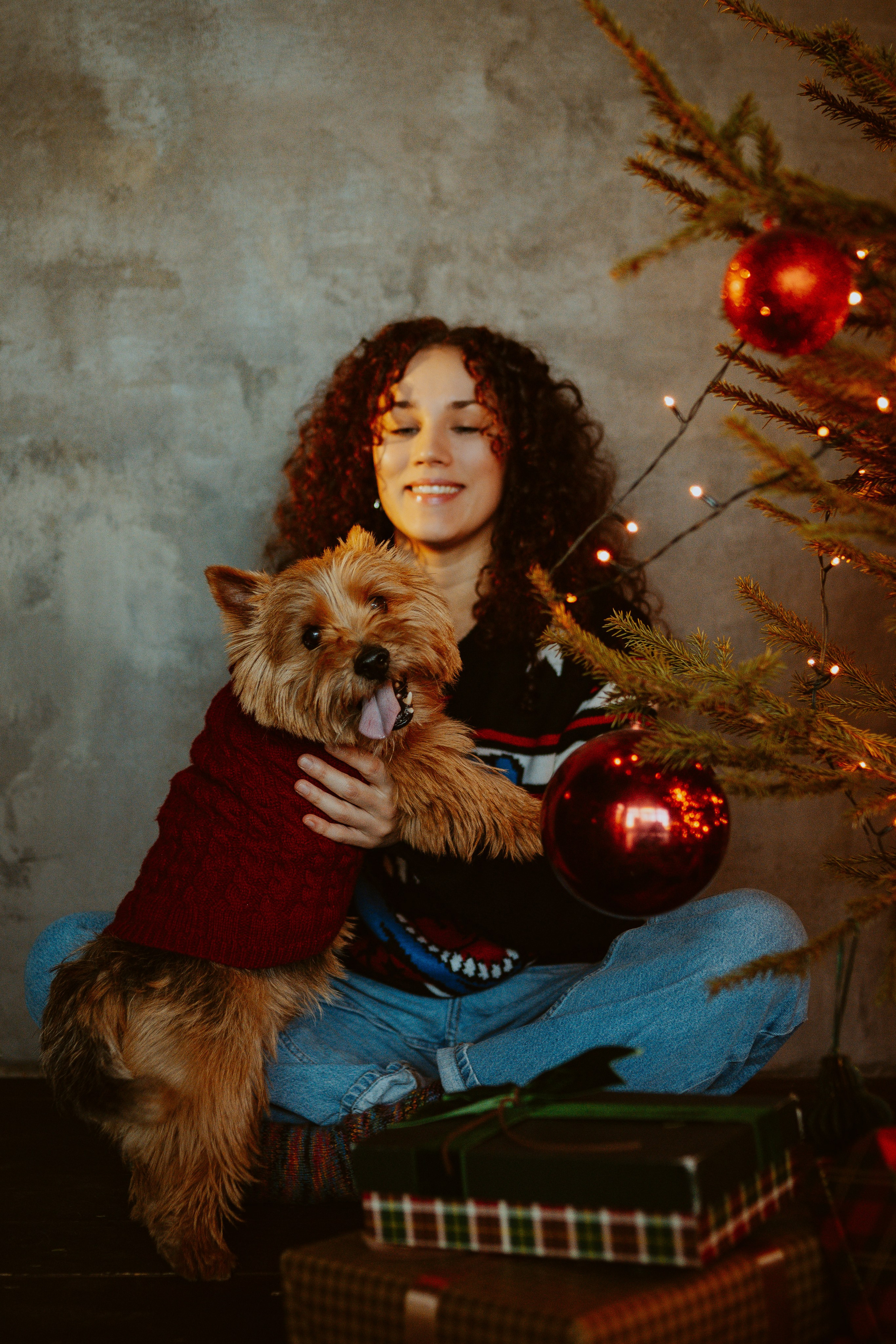 Фотосессия с собакой в студии. Фотограф анималист в Спб недорого Олеся Майорова