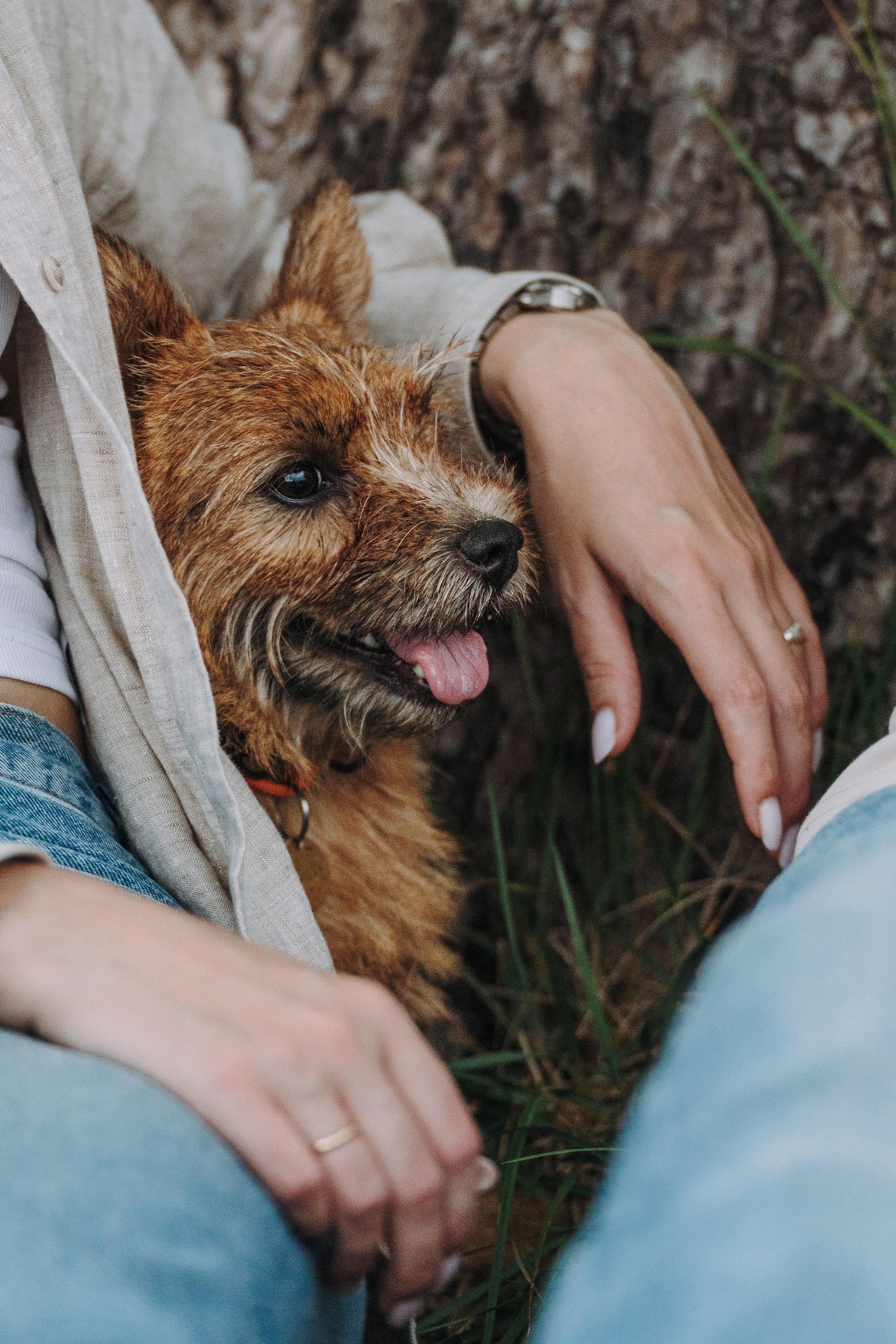 Семейная фотосессия с собакой Спб. Фотограф анималист в Спб недорого Олеся Майорова