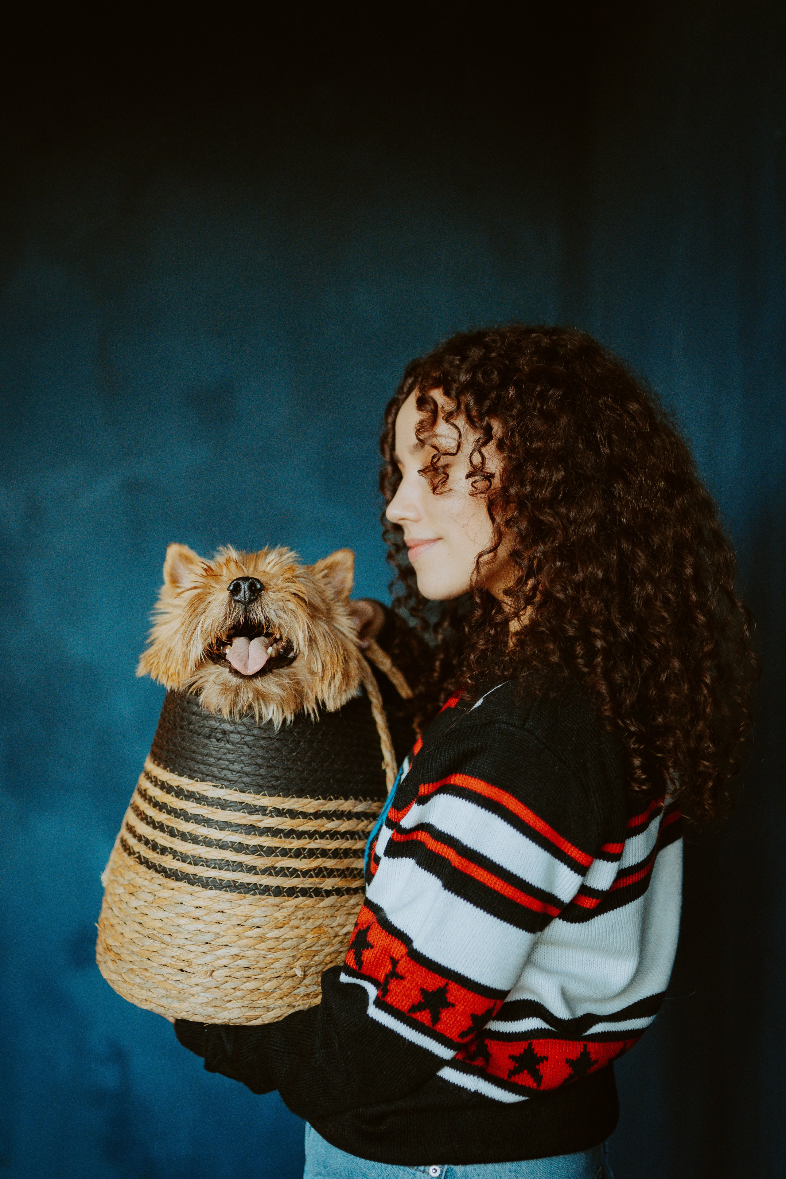 Фотосессия с собакой в студии. Фотограф анималист в Спб недорого Олеся Майорова