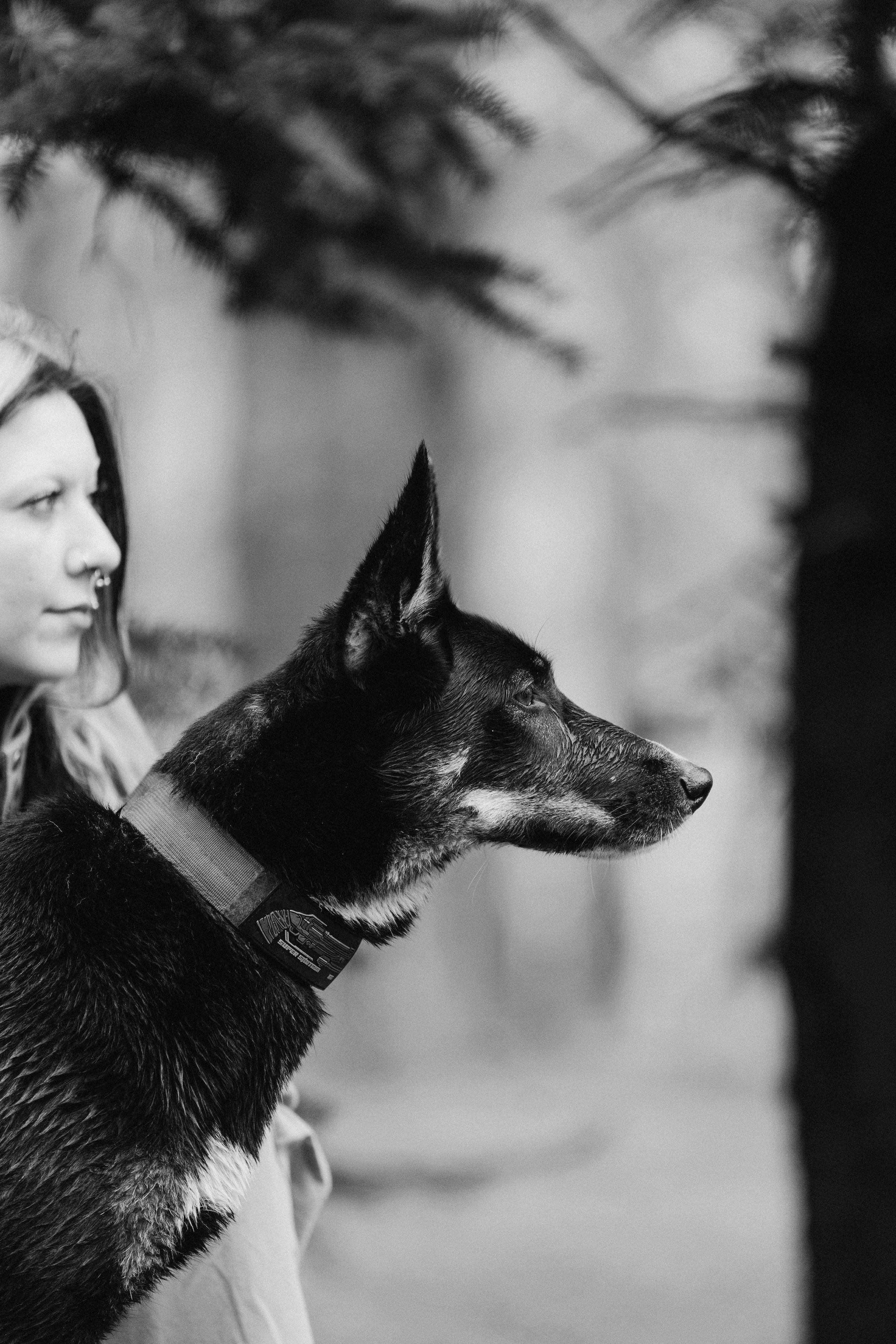 Эля и Шиза. Фотограф анималист в Спб недорого Олеся Майорова