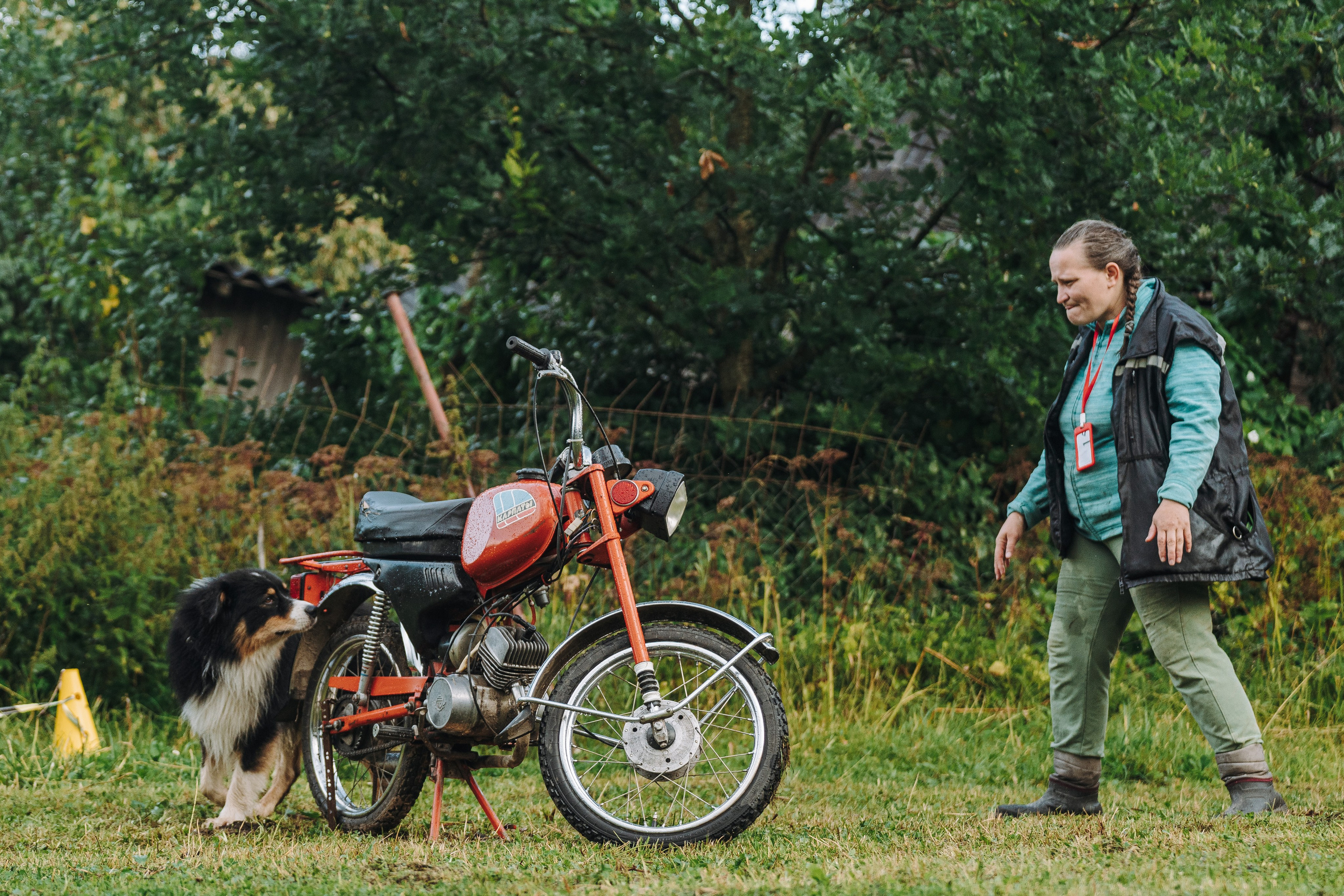 Соревнования по ноузворку в Новожилово. Фотограф анималист в Спб недорого Олеся Майорова