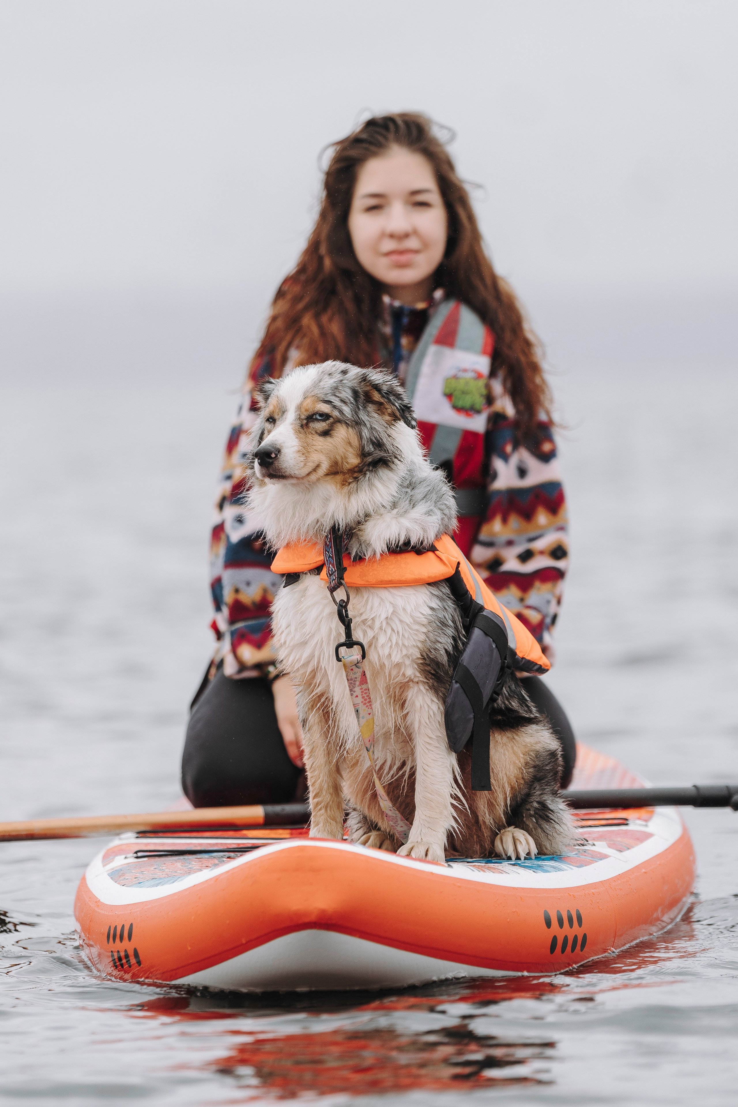 Катание на сапах с собаками. Фотограф анималист в Спб недорого Олеся Майорова