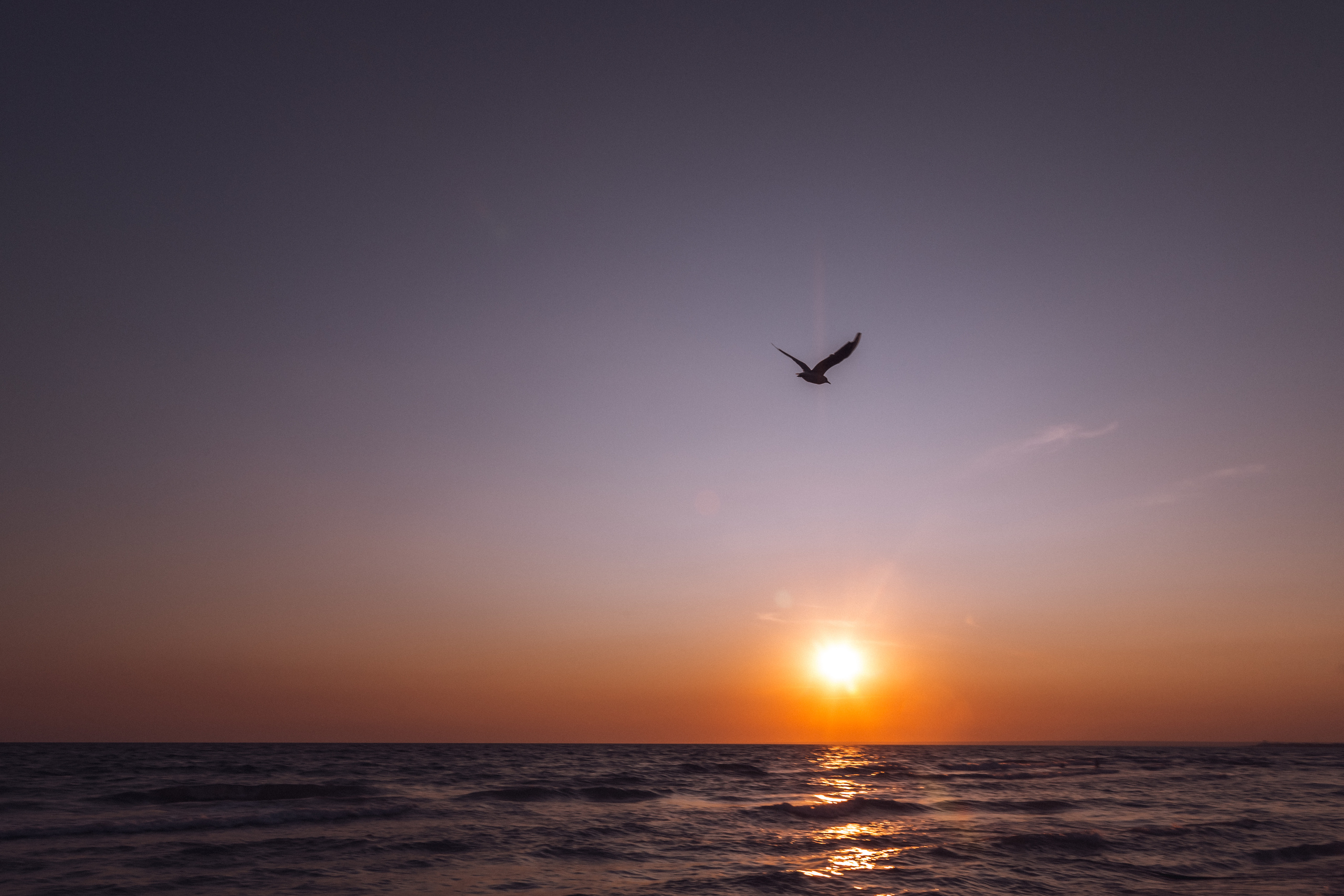 Штормовое. Республика Крым.  Черное море. Закат. 