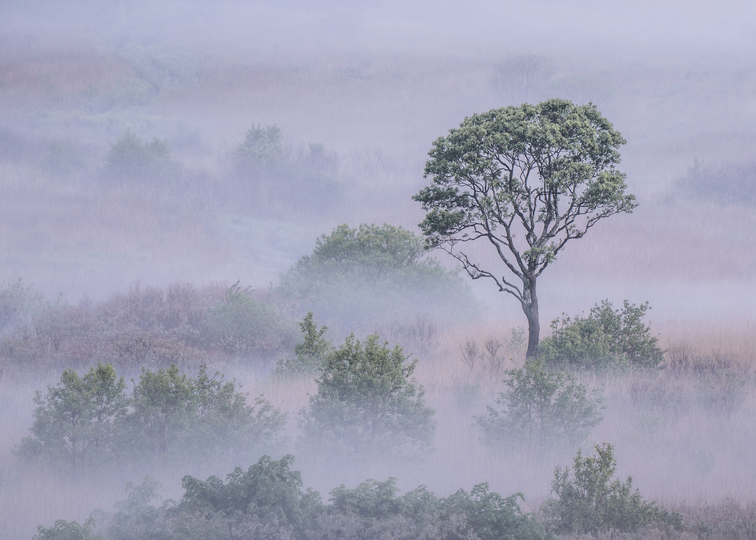 Пейзажная фотография. Daria wanderer photography