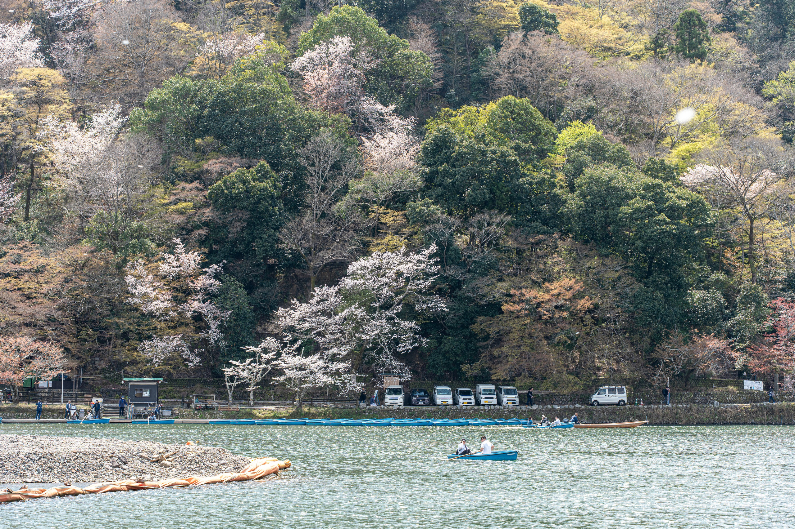 Япония, сакура. Творческие сьемки