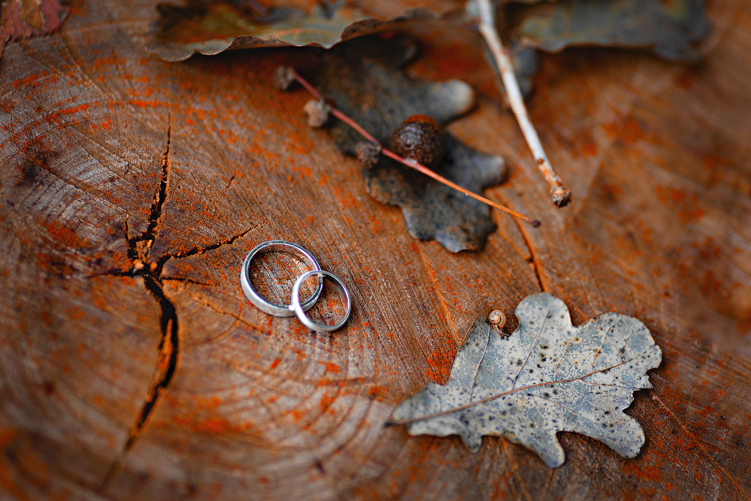 СВАДЬБА. Сергей и Даша. Фотограф в Москве Оксана Цехмистер