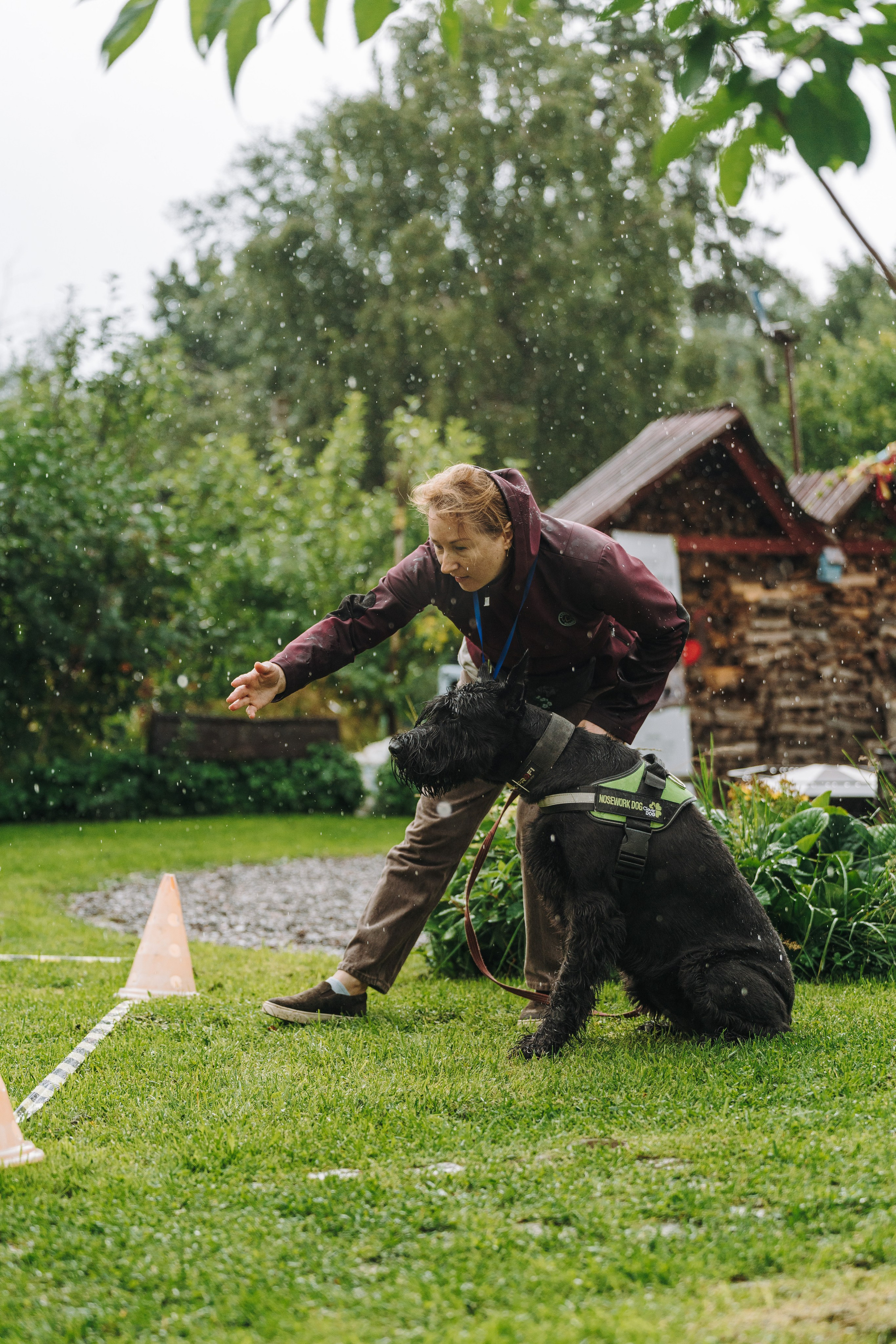 Соревнования по ноузворку в Новожилово. Фотограф анималист в Спб недорого Олеся Майорова