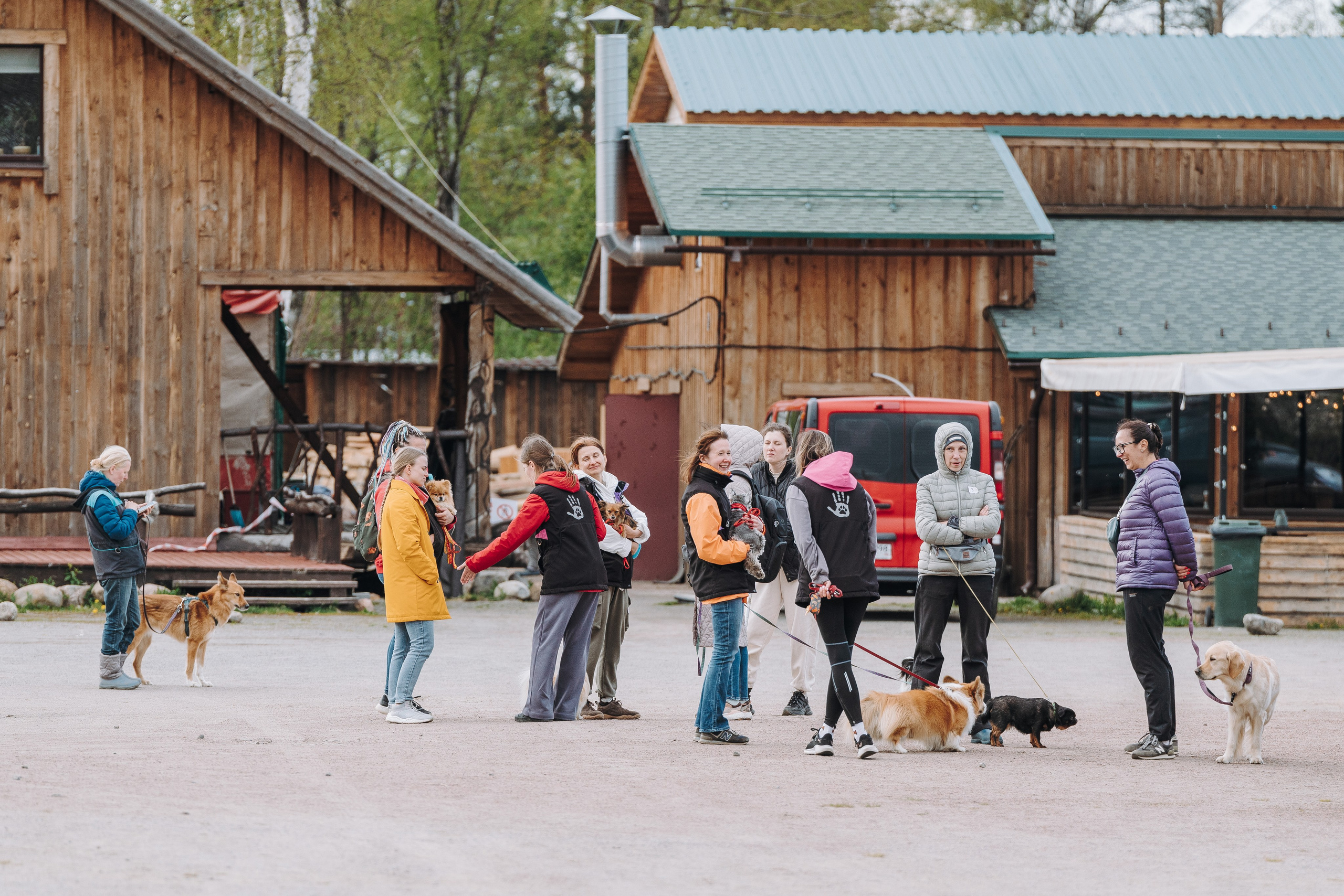 Соревнования по ноузворку в Лосево. Фотограф анималист в Спб недорого Олеся Майорова