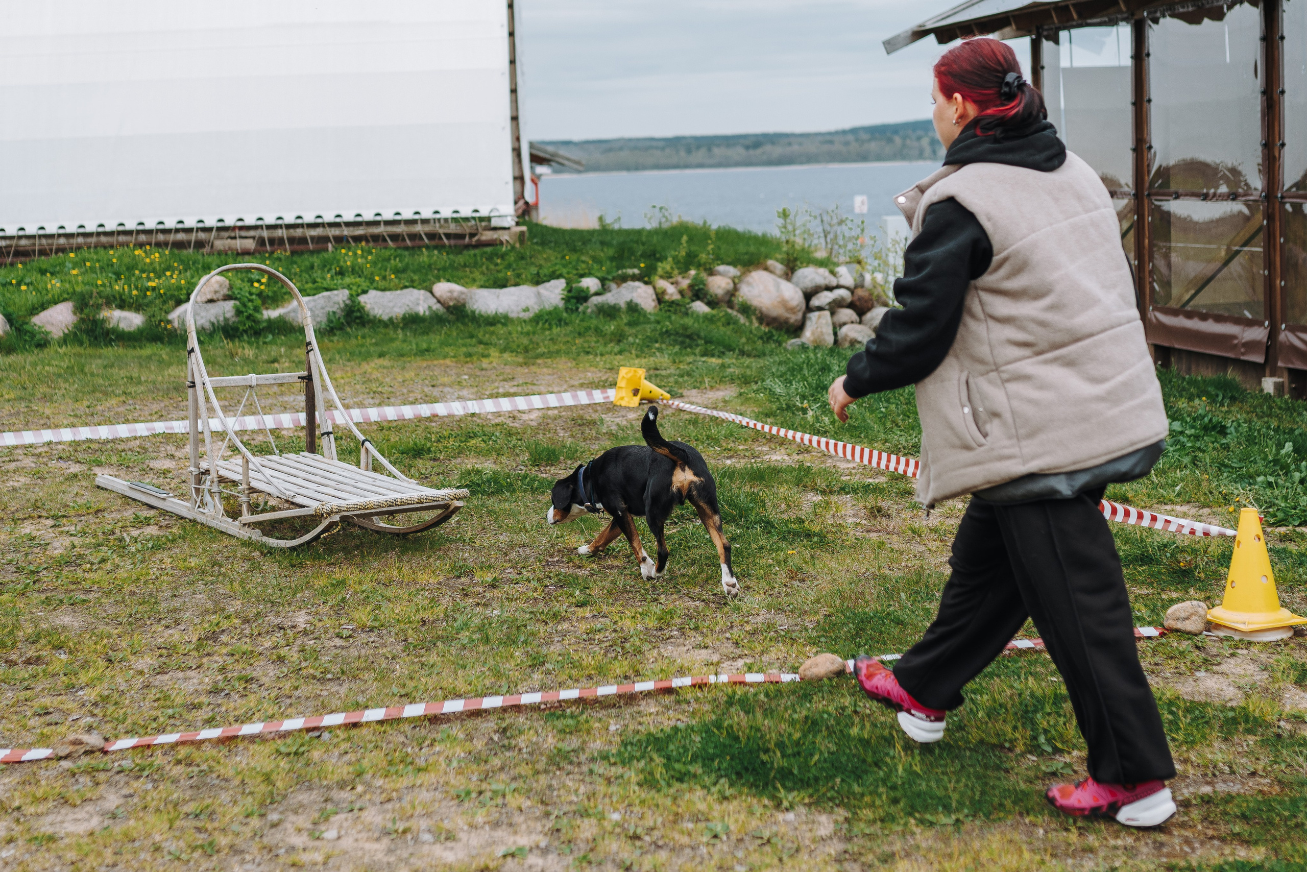 Соревнования по ноузворку в Лосево. Фотограф анималист в Спб недорого Олеся Майорова