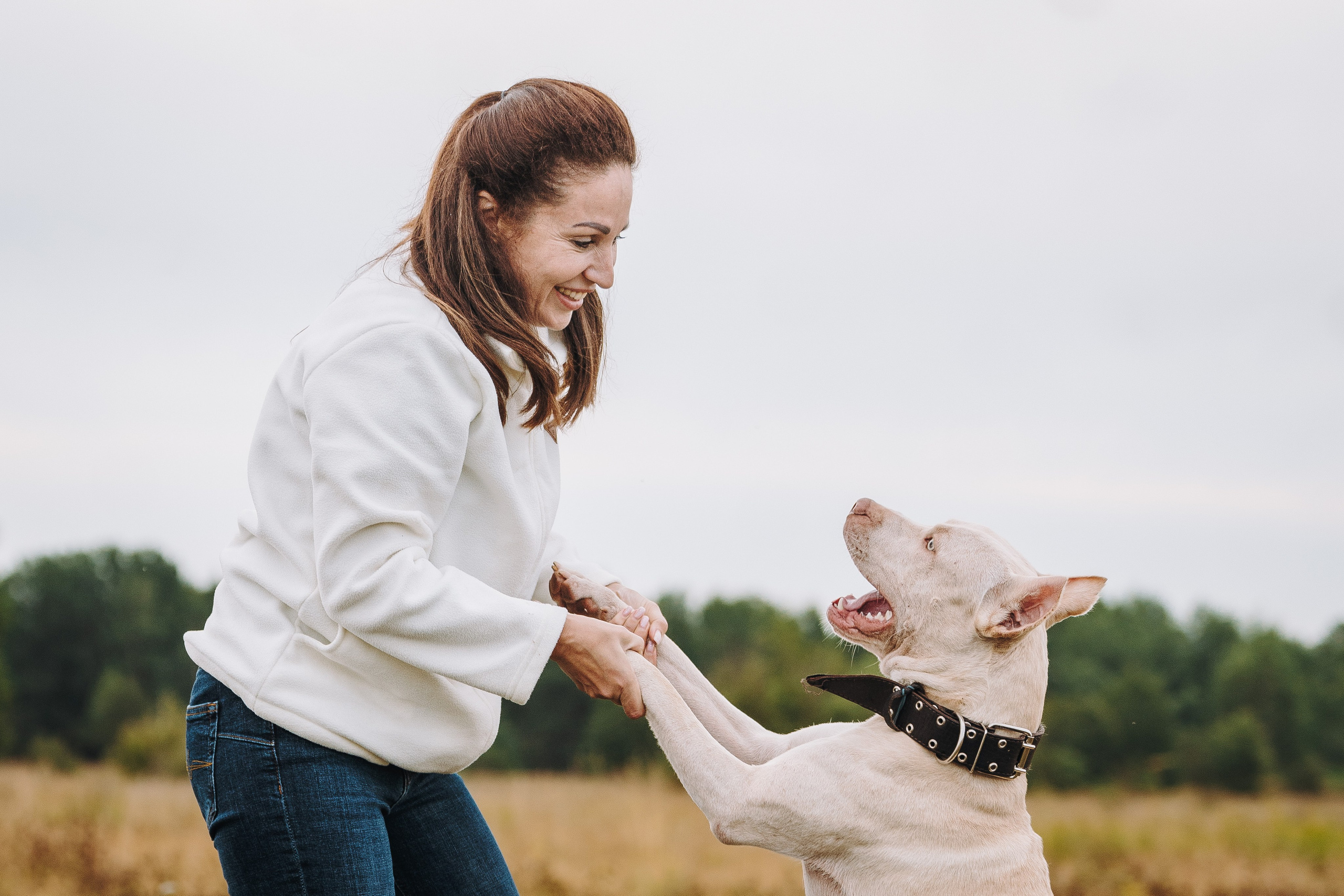 Оля и Гламур. Фотограф анималист в Спб недорого Олеся Майорова