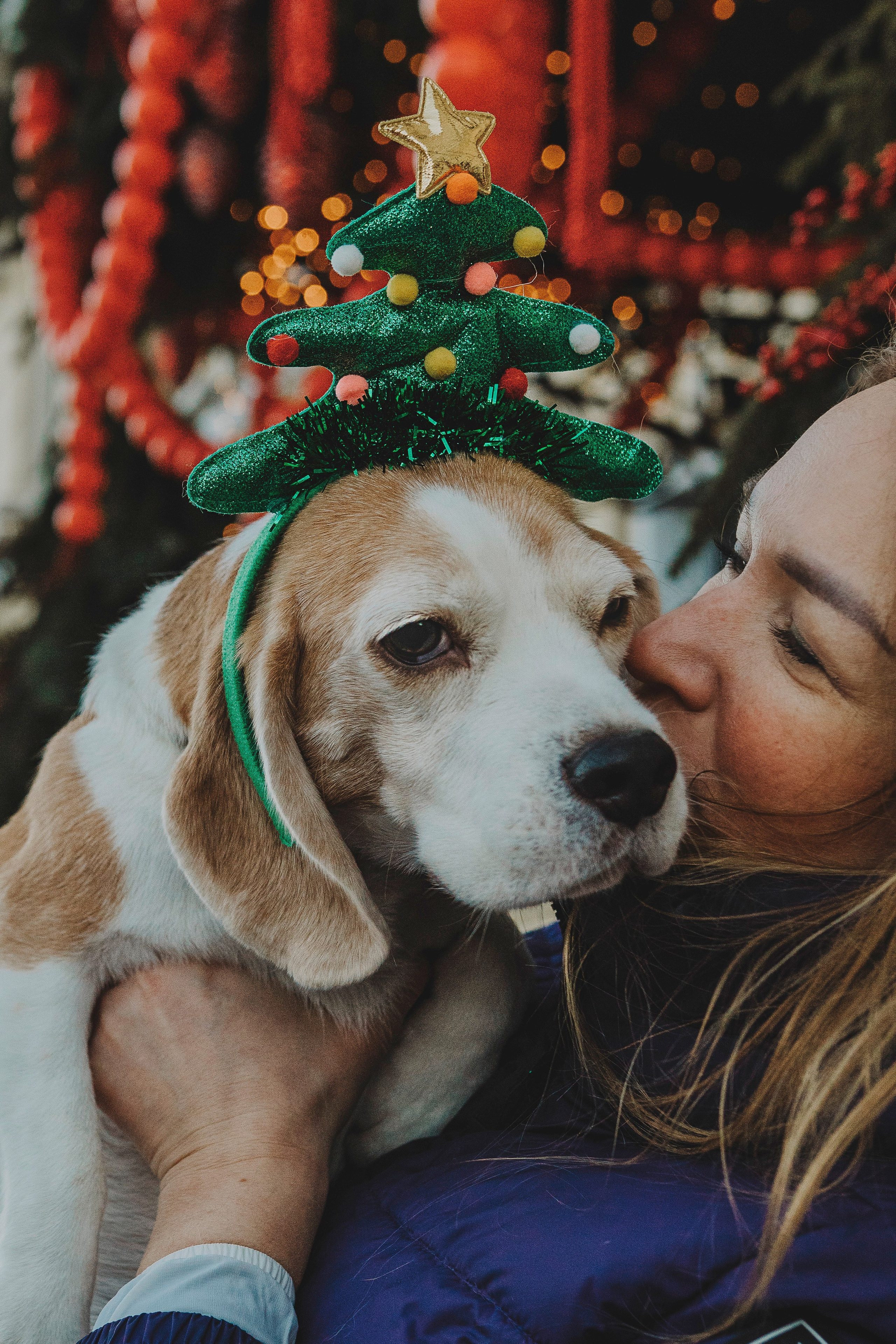 Ксения и Гаечка. Фотограф анималист в Спб недорого Олеся Майорова