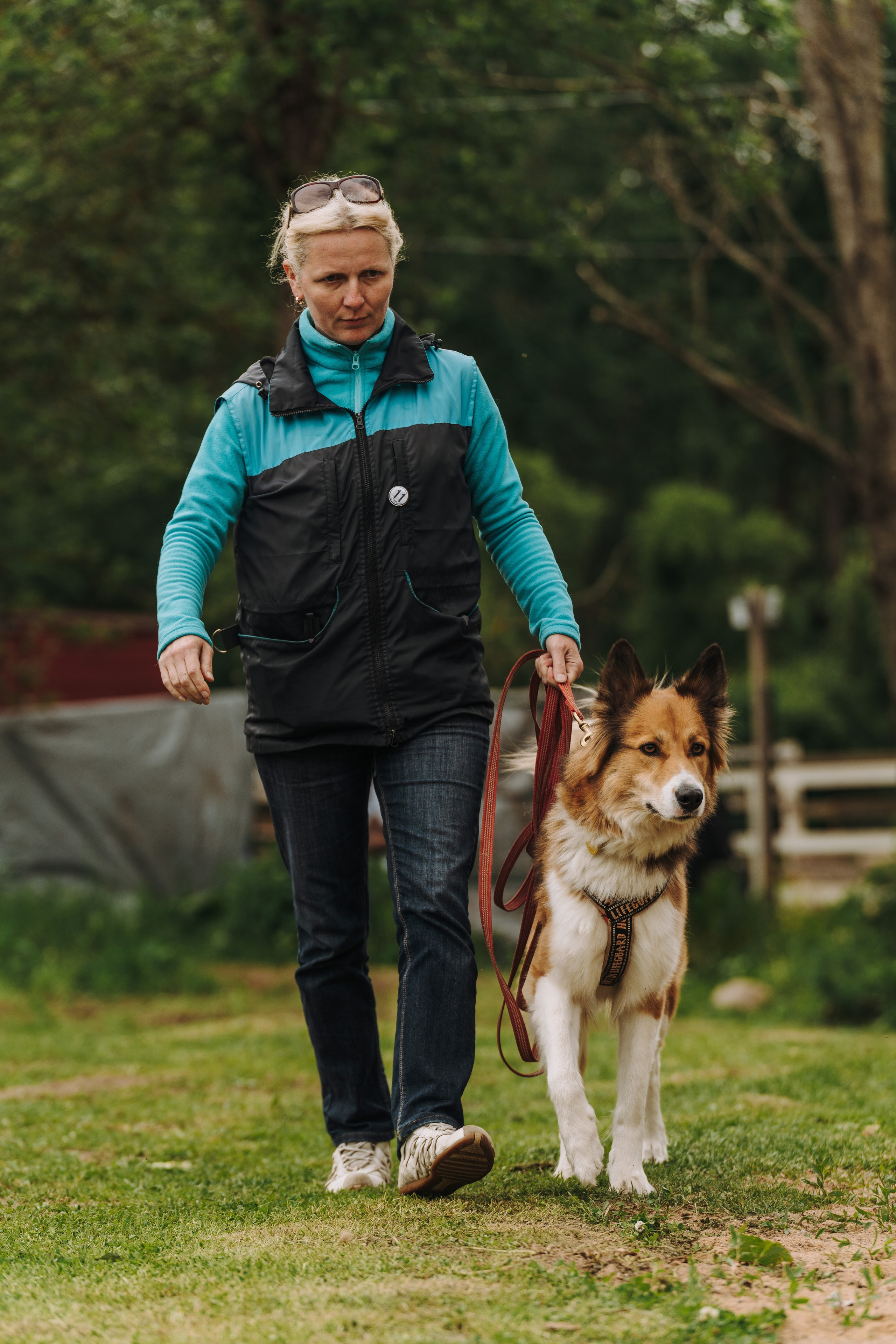 Соревнования по ноузворку. Фотограф анималист в Спб недорого Олеся Майорова