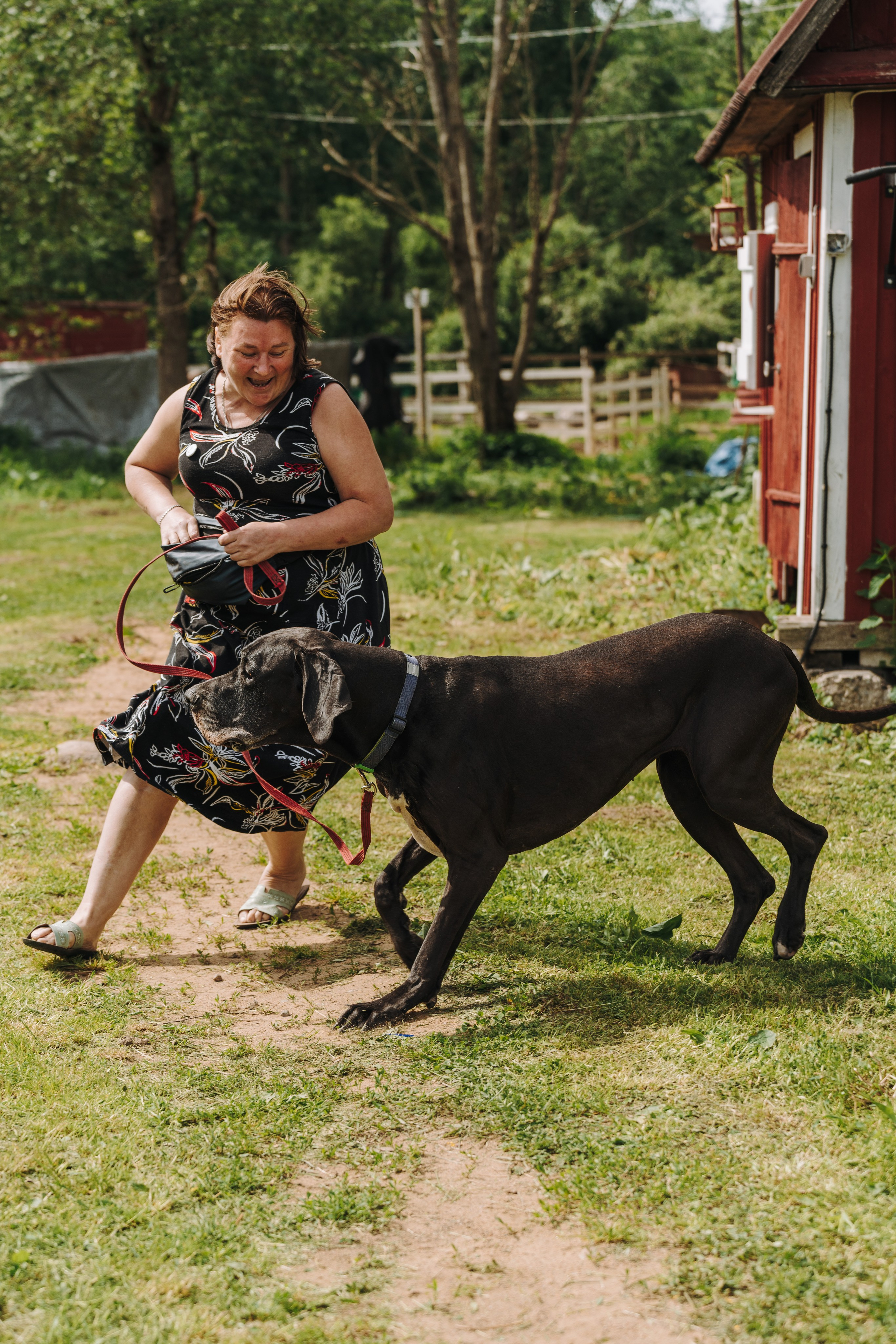 Соревнования по ноузворку. Фотограф анималист в Спб недорого Олеся Майорова