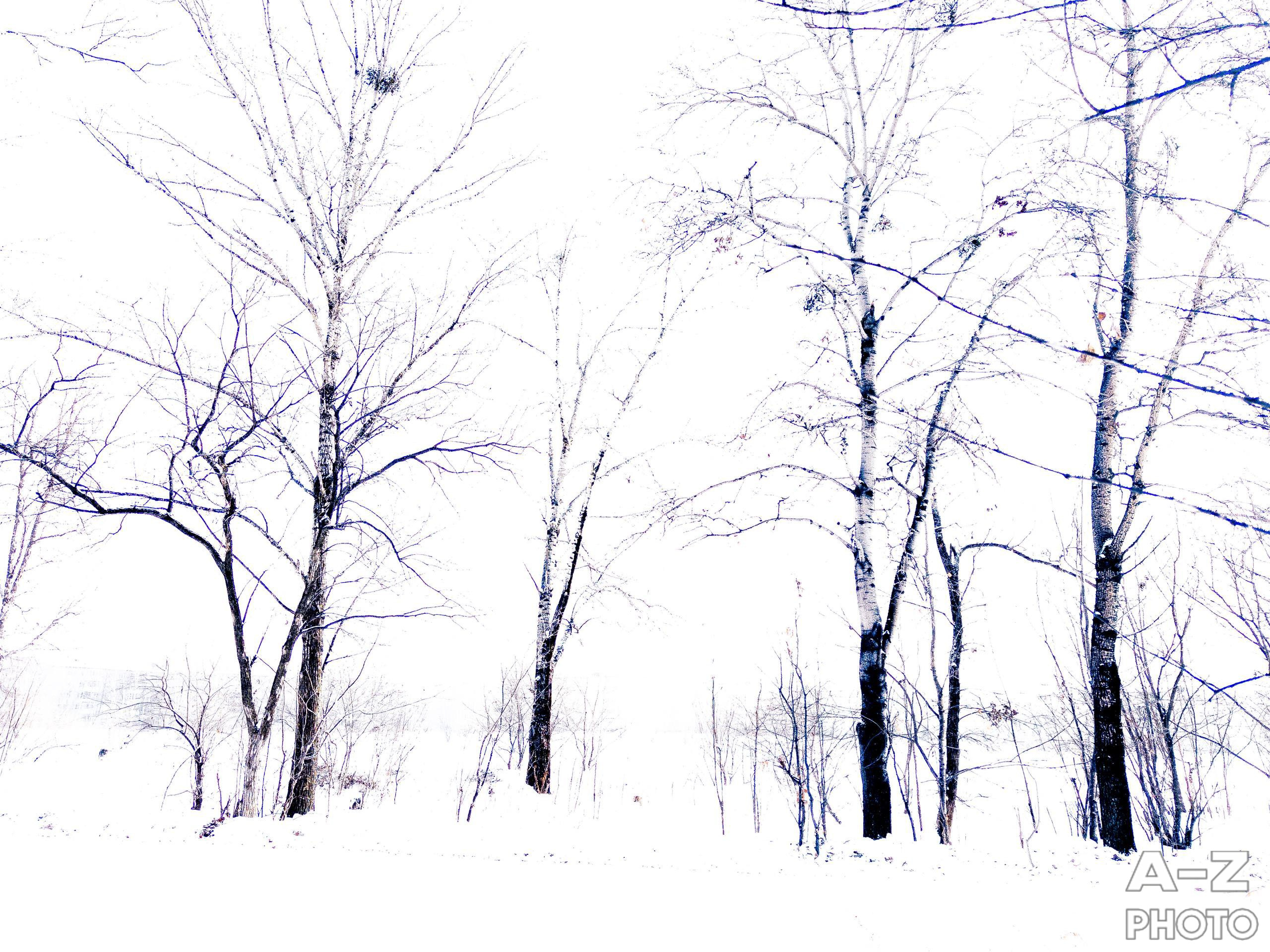 #ФОТОНЕДЕЛИ 19.01.2026. Женский семейный фотограф Тула Москва Захарова Анна