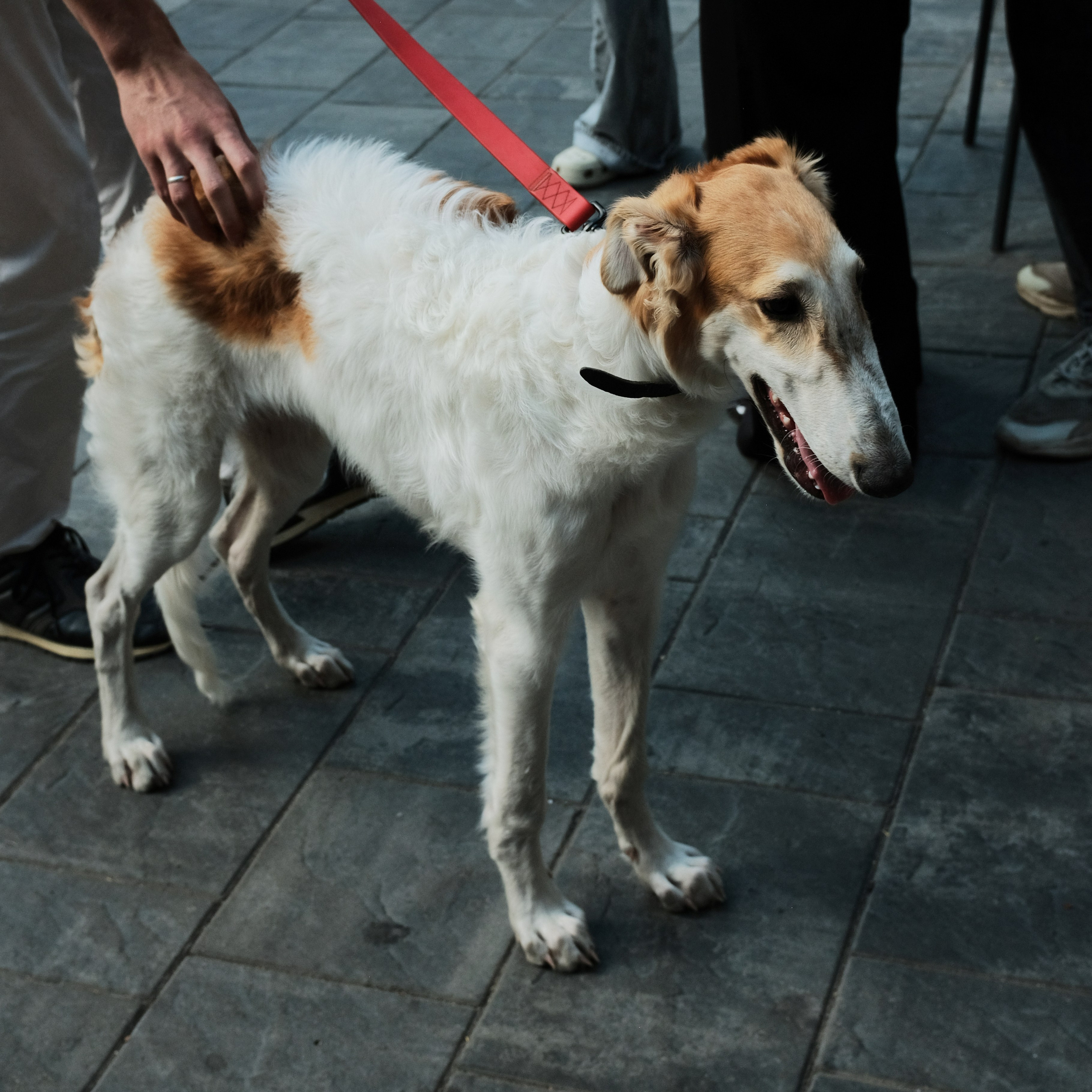 Rostov-on-Don. Creative travel photographer — Berg Daria