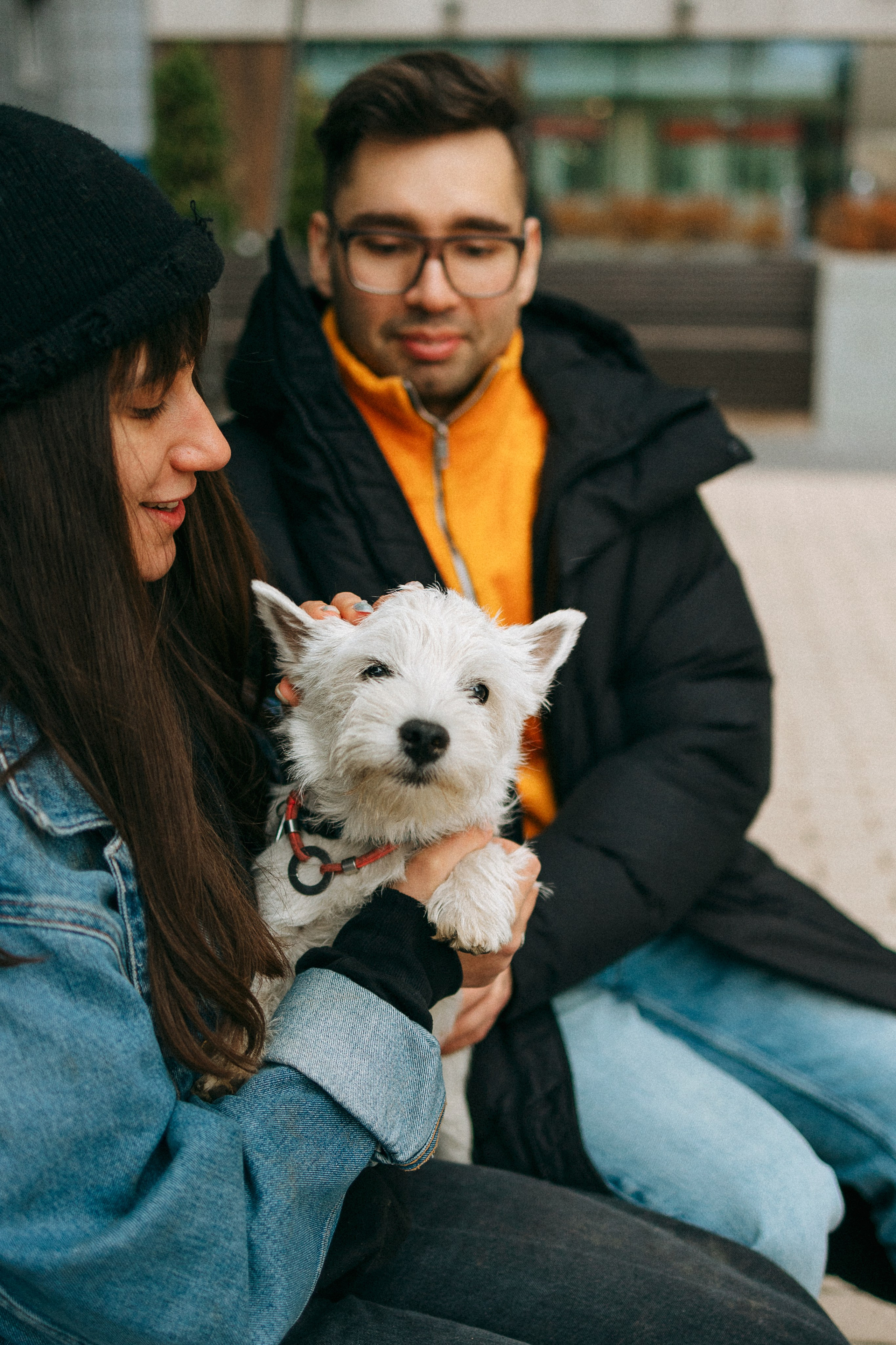 Снежуля, Мари и Саша. Фотограф анималист Анастасия Пикей