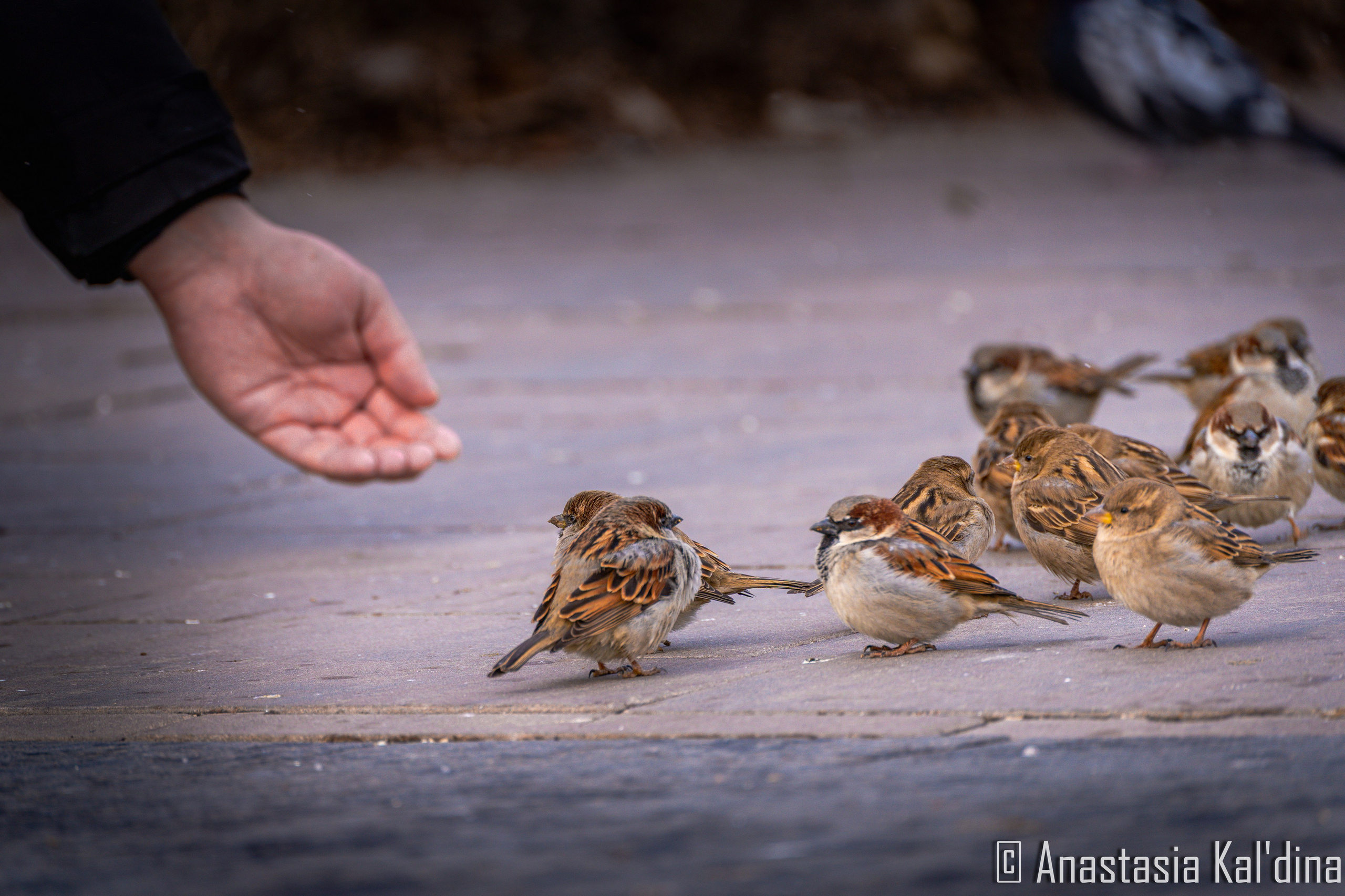 Городской пейзаж/архитектура. Фотограф в Волгограде и Волжском Анастасия Кальдина